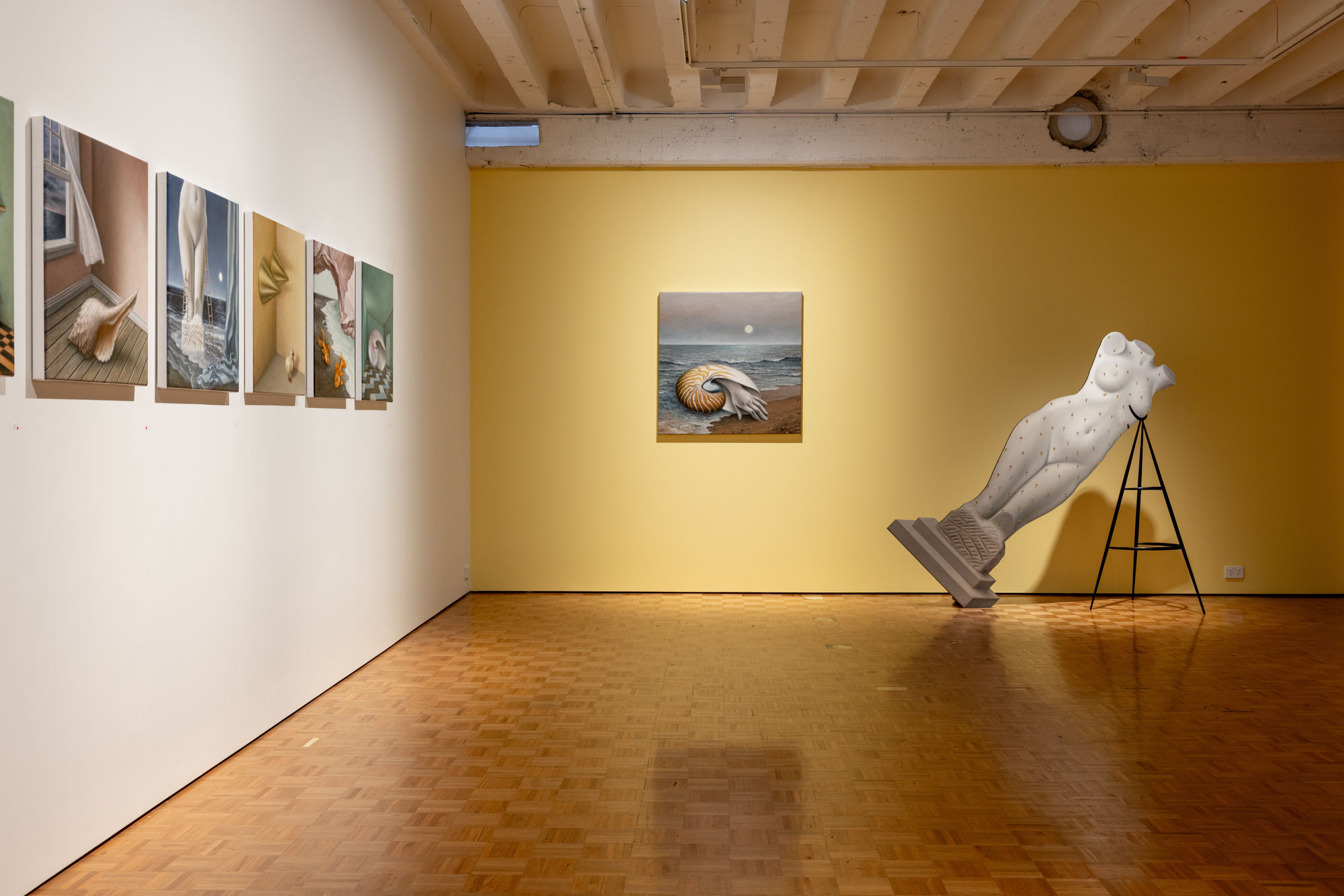 AMBER KOROLUK-STEPHENSON