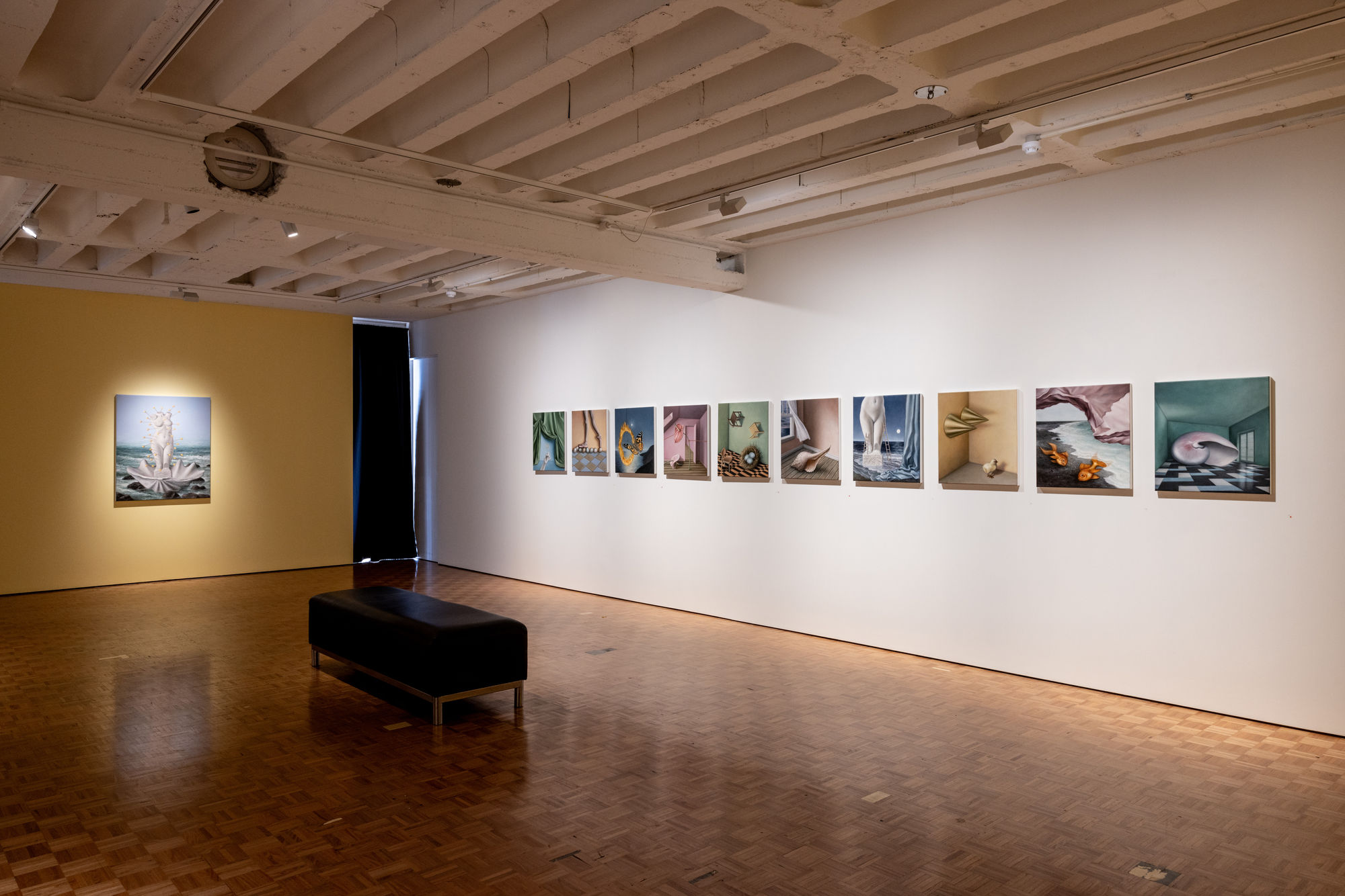 AMBER KOROLUK-STEPHENSON