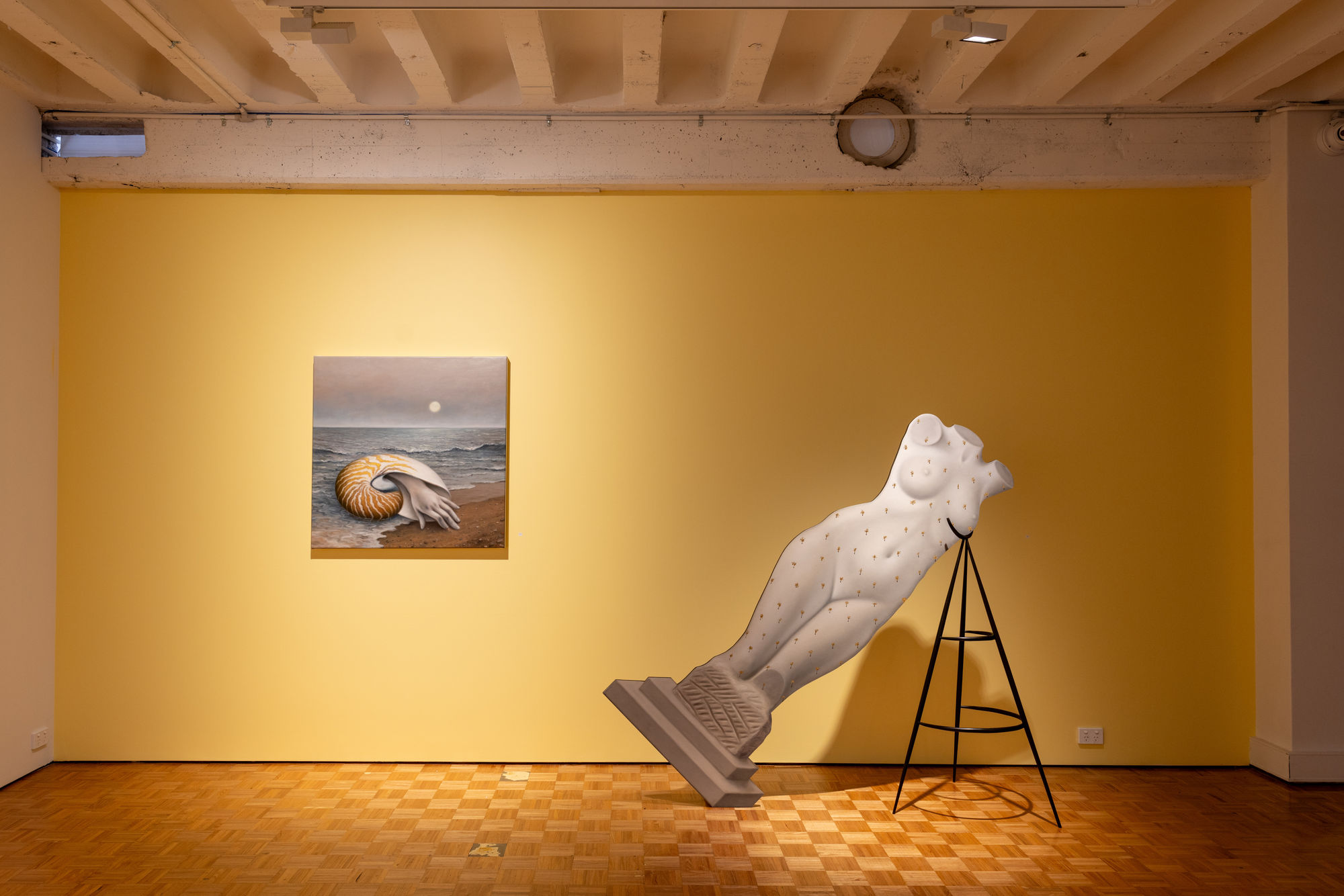 AMBER KOROLUK-STEPHENSON