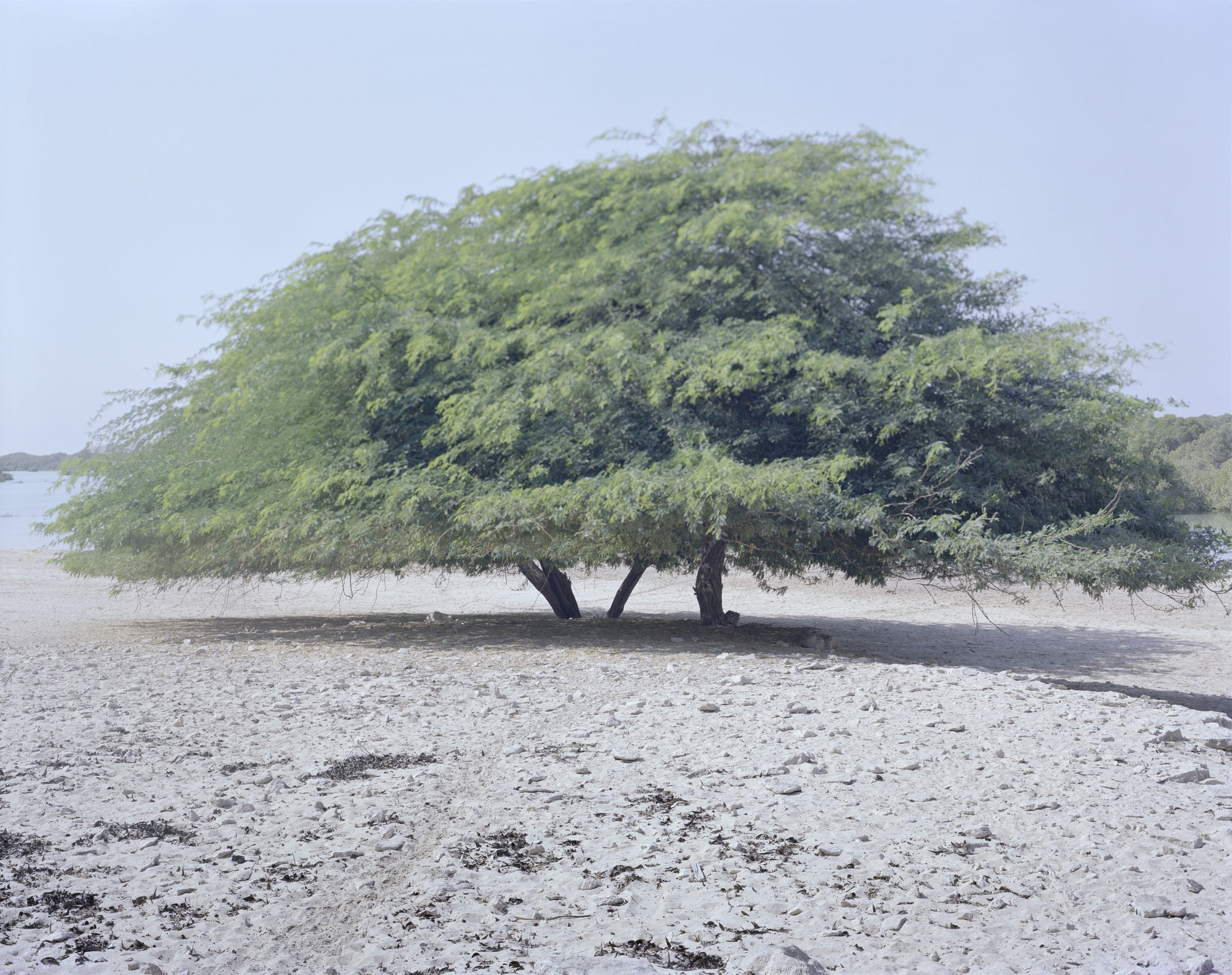 12١٢ From the series Hala, 2015-2017 Archival pigment print on Hahnemuhle etching paper