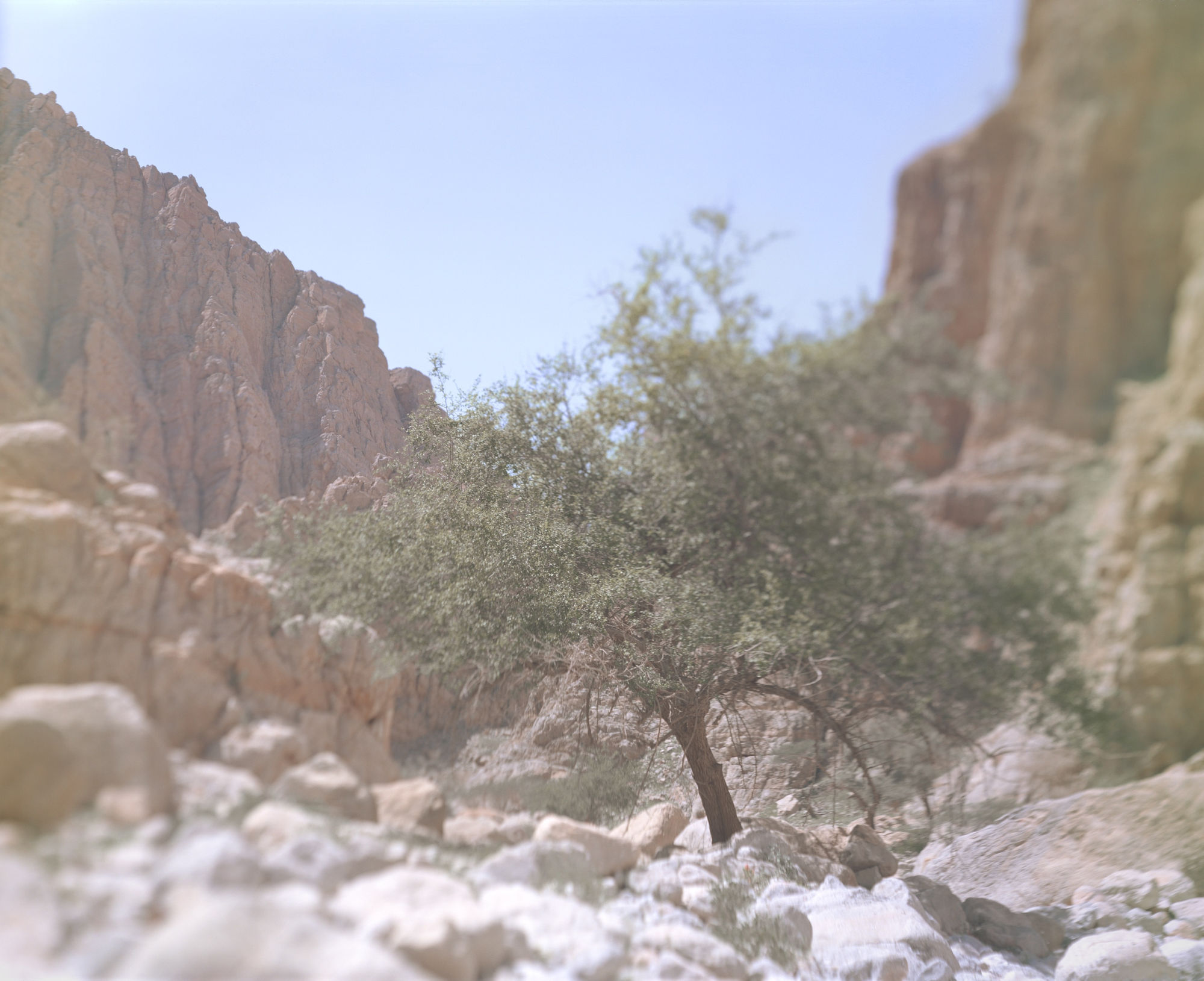 2٢ From the series Hala, 2015-2017 Archival pigment print on Hahnemuhle etching paper