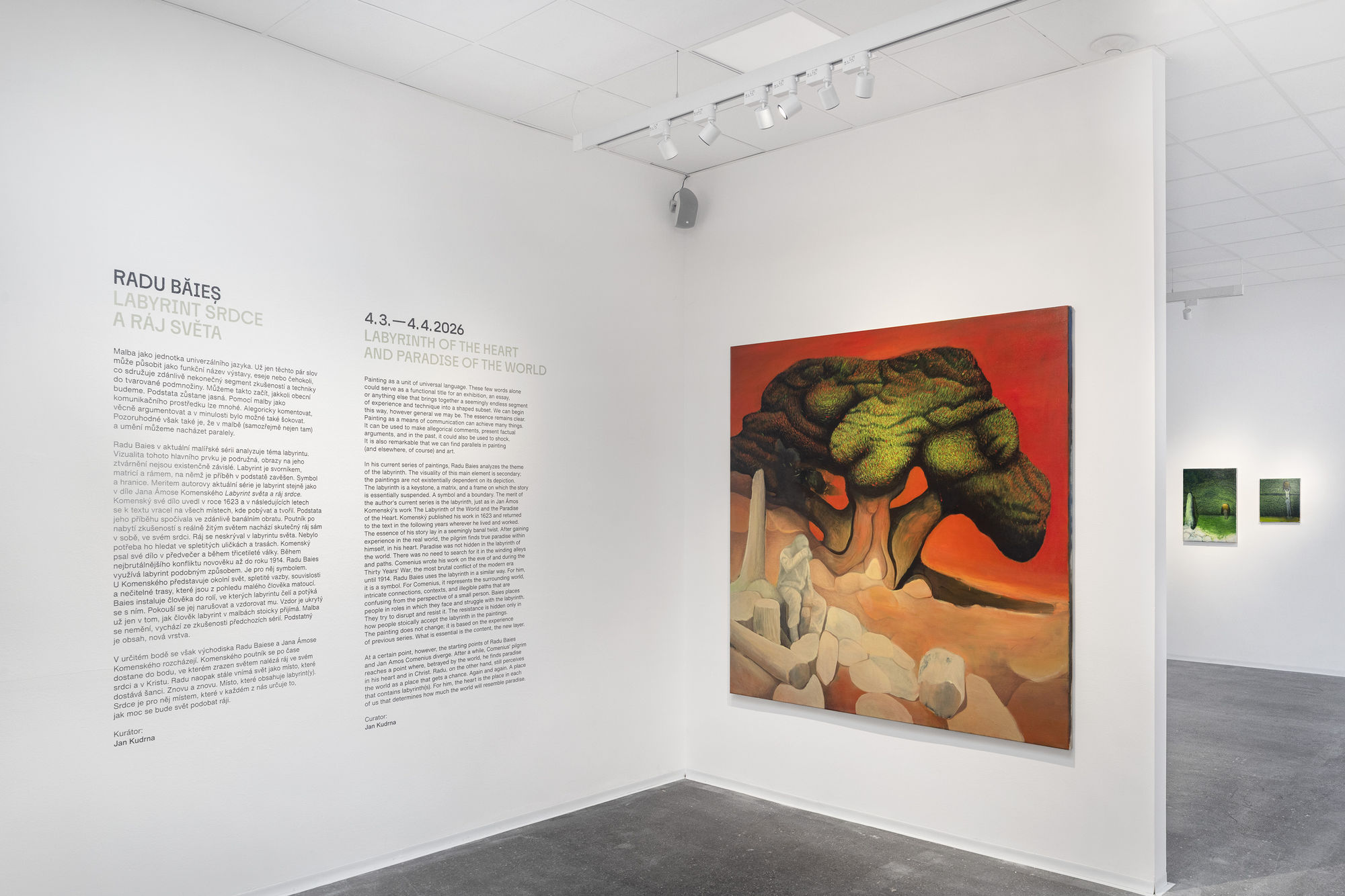 Radu Băieş - Labyrinth of the Heart and Paradise of the World