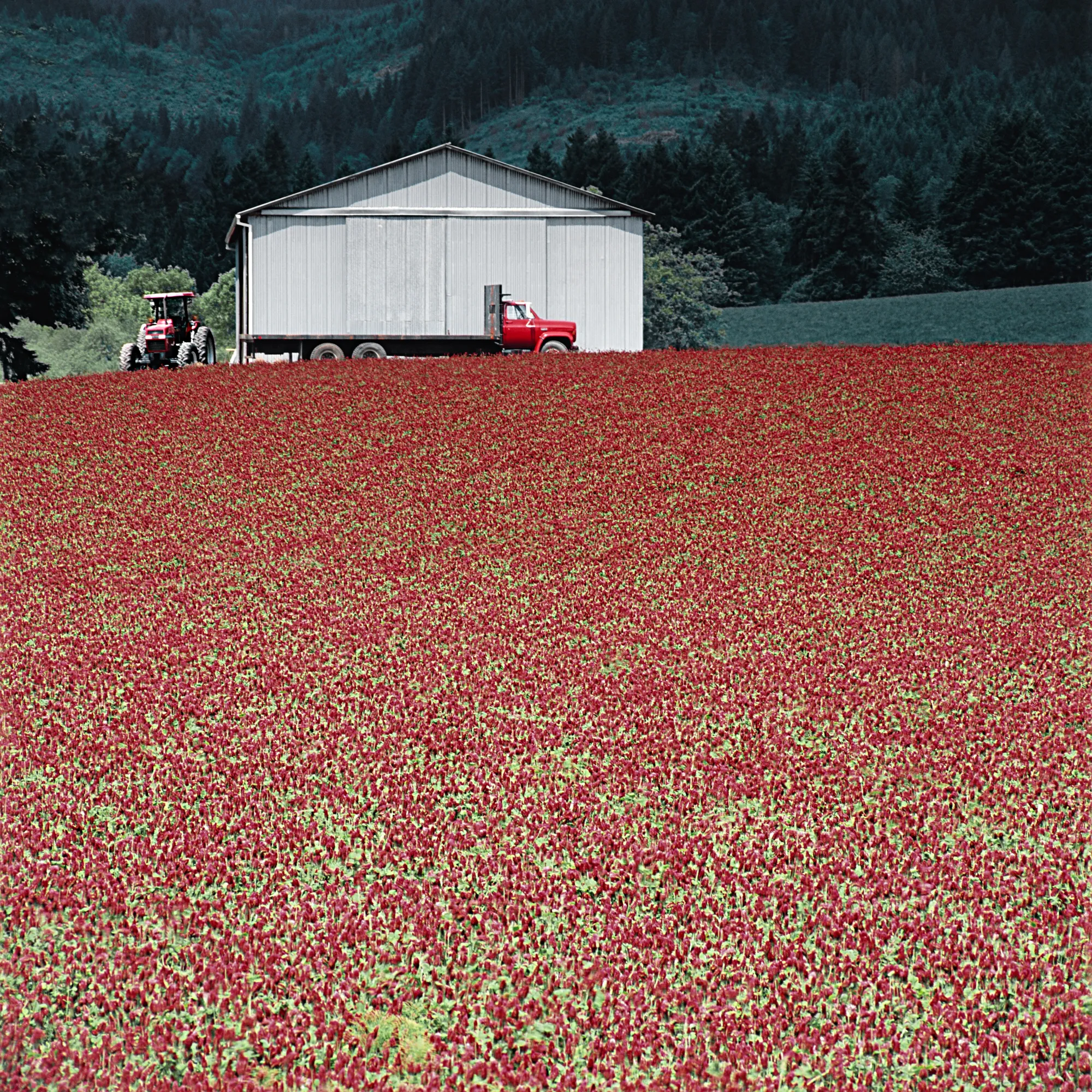 Charlie Waite, Carolina, USA, 2015