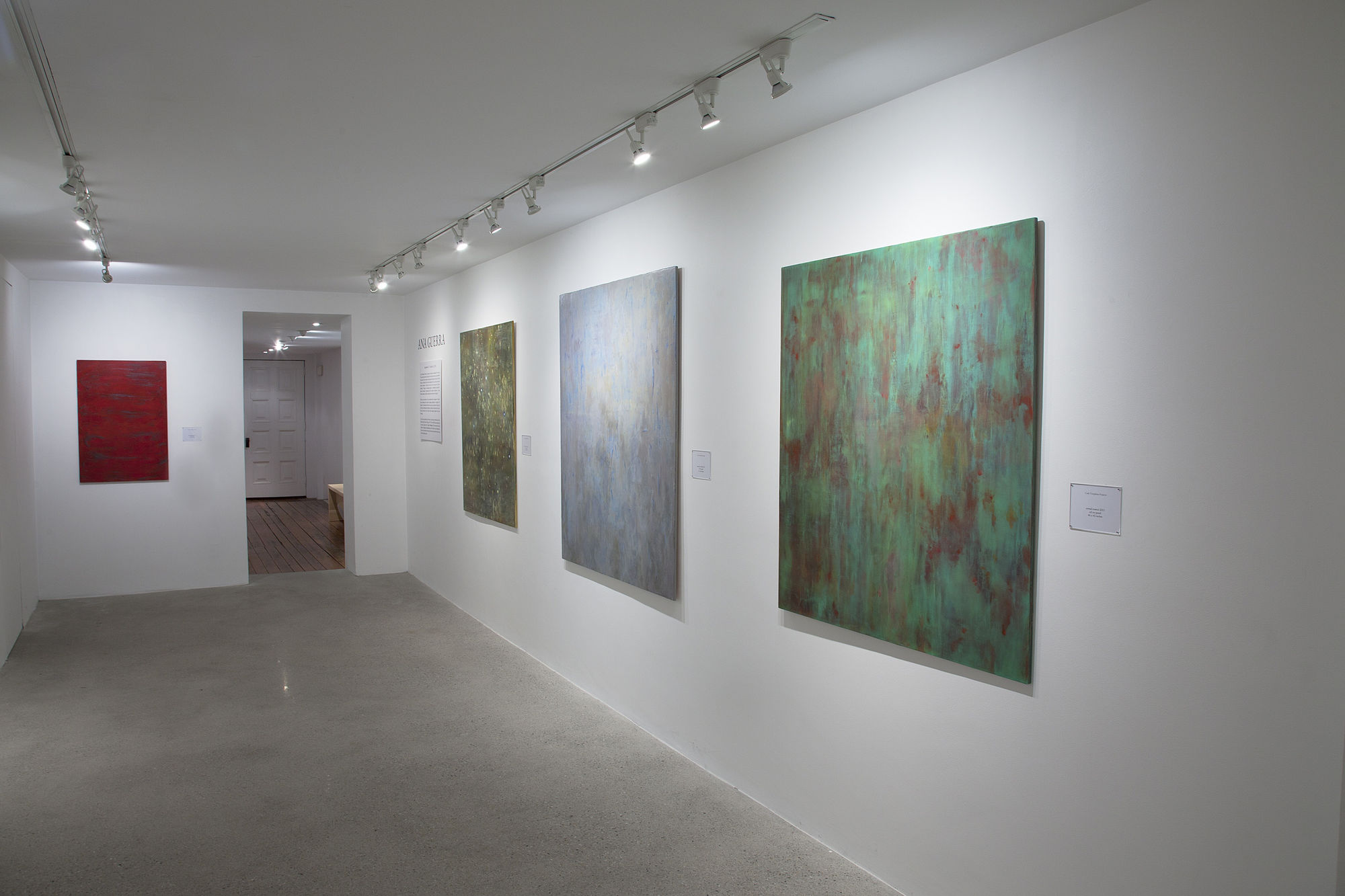 Ana Guerra Installation View, Cade Tompkins Projects