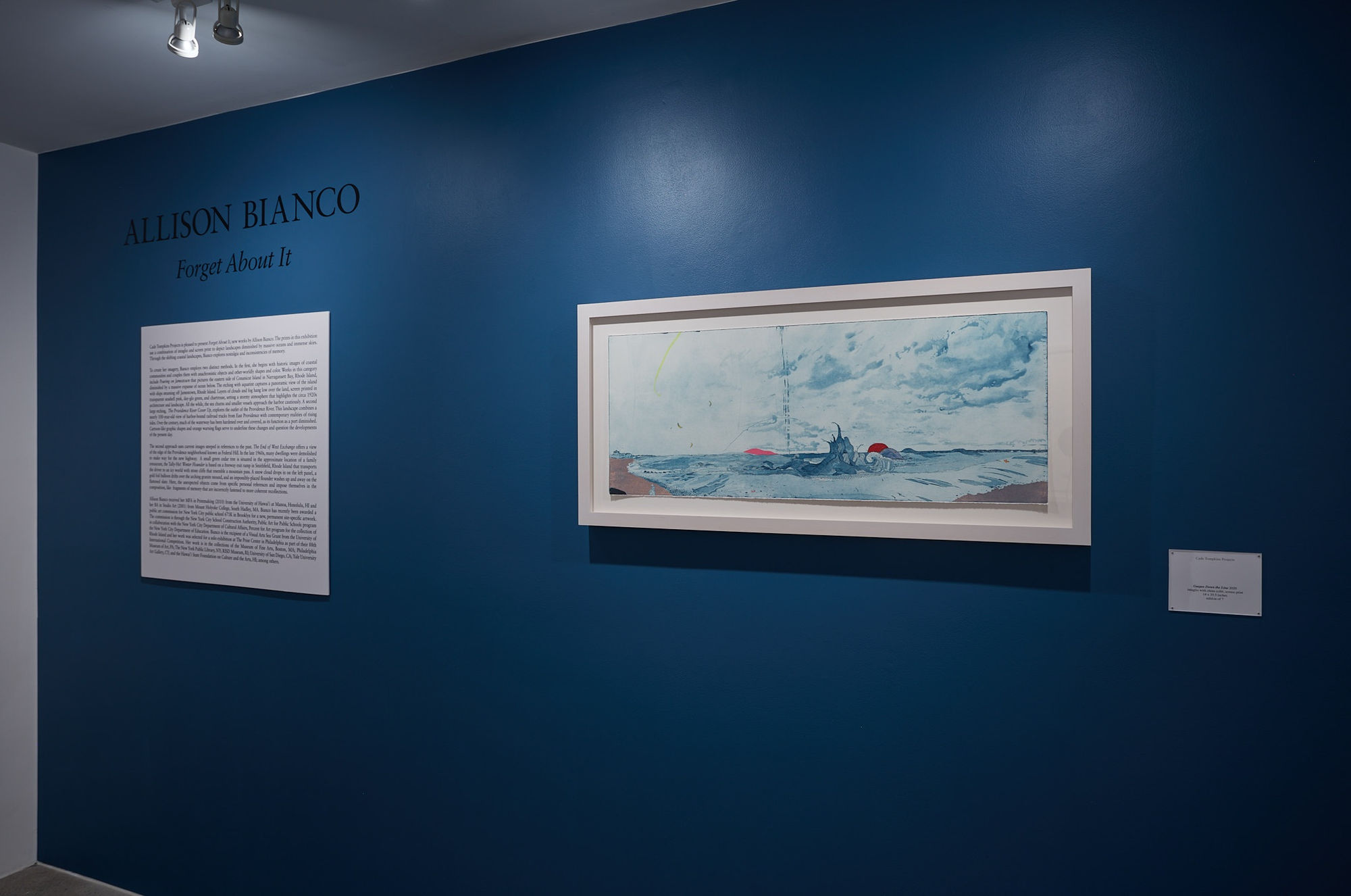 Allison Bianco Installation View, Cade Tompkins Projects