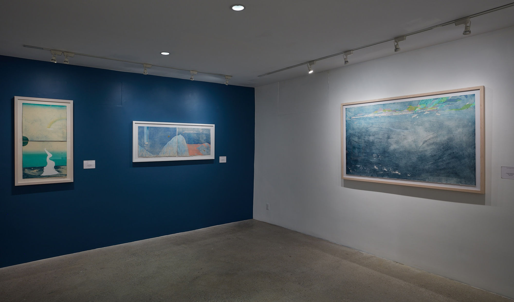 Allison Bianco Installation View, Cade Tompkins Projects