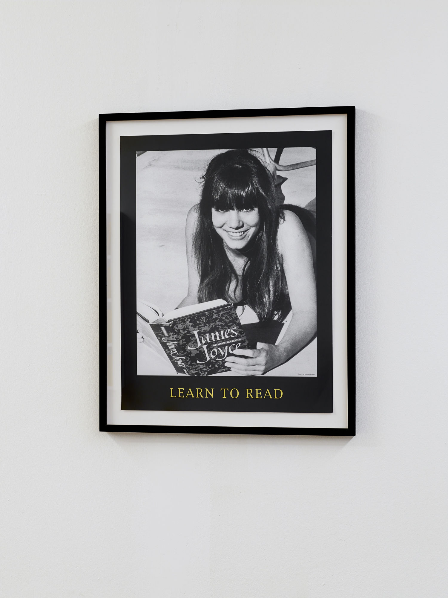 The Feverish Library