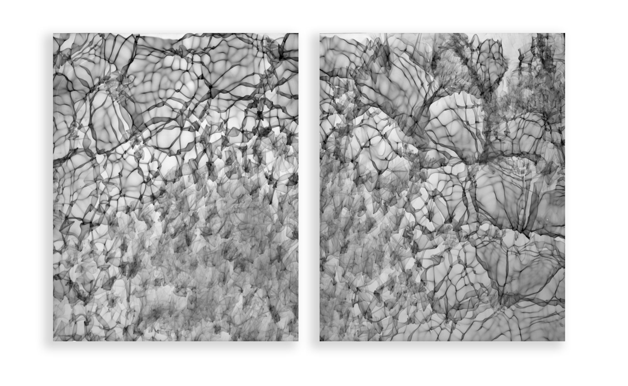 Feng Chen: Moment by Moment