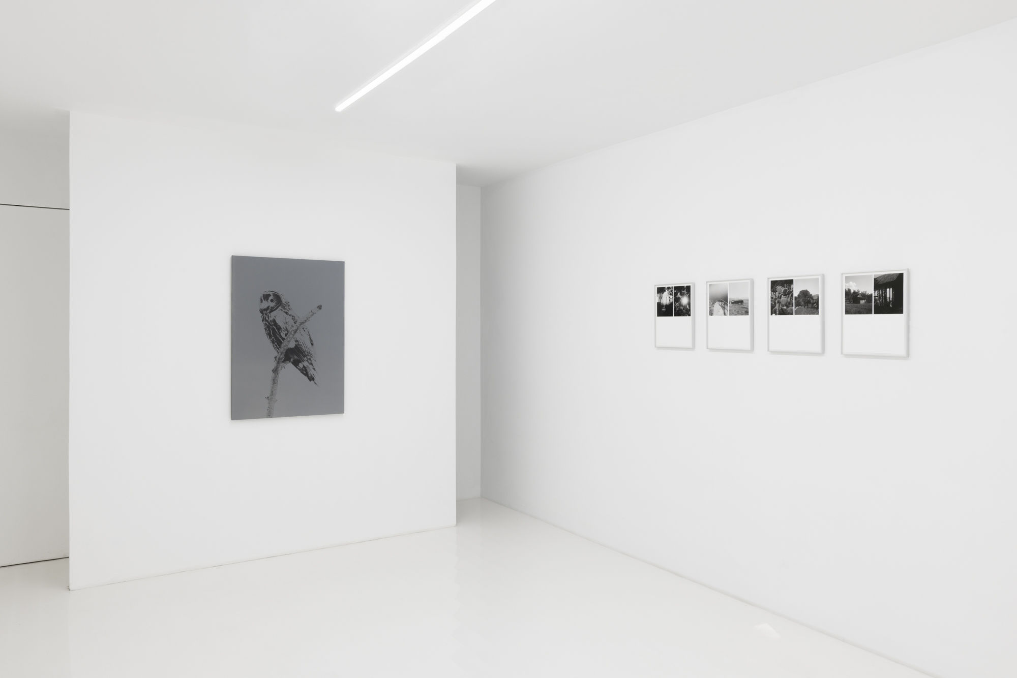 Luca Campestri: Watering the Plants