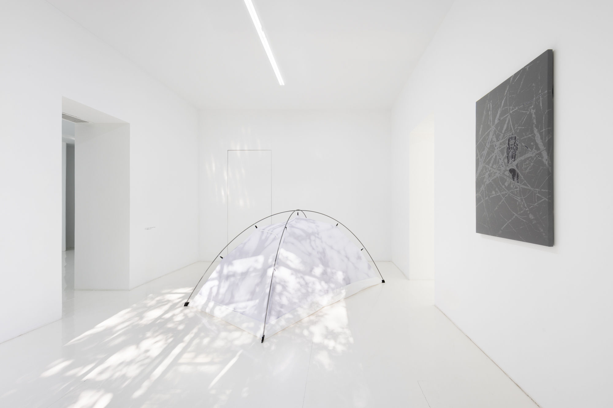 Luca Campestri: Watering the Plants