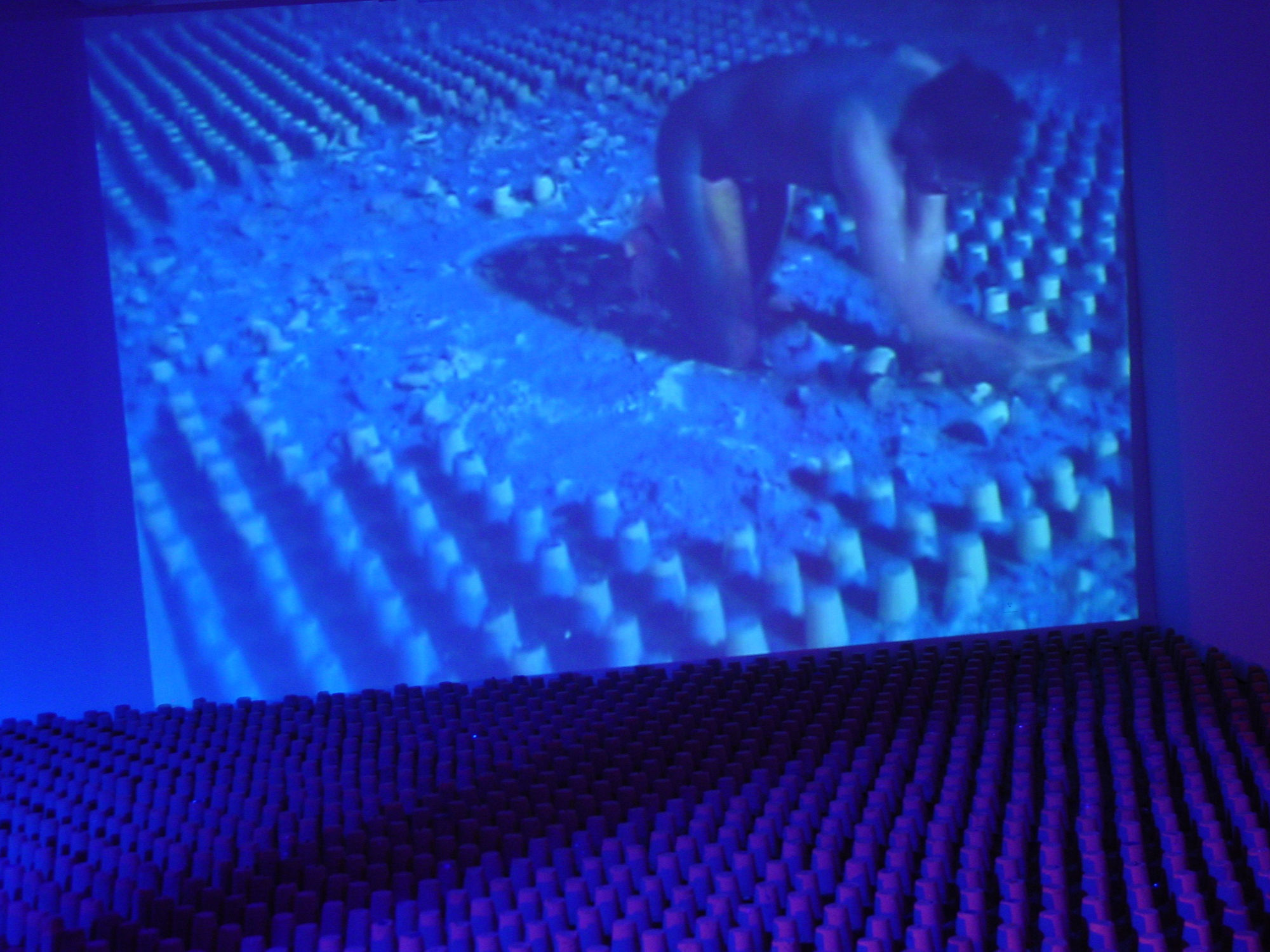 The Enchanted Island