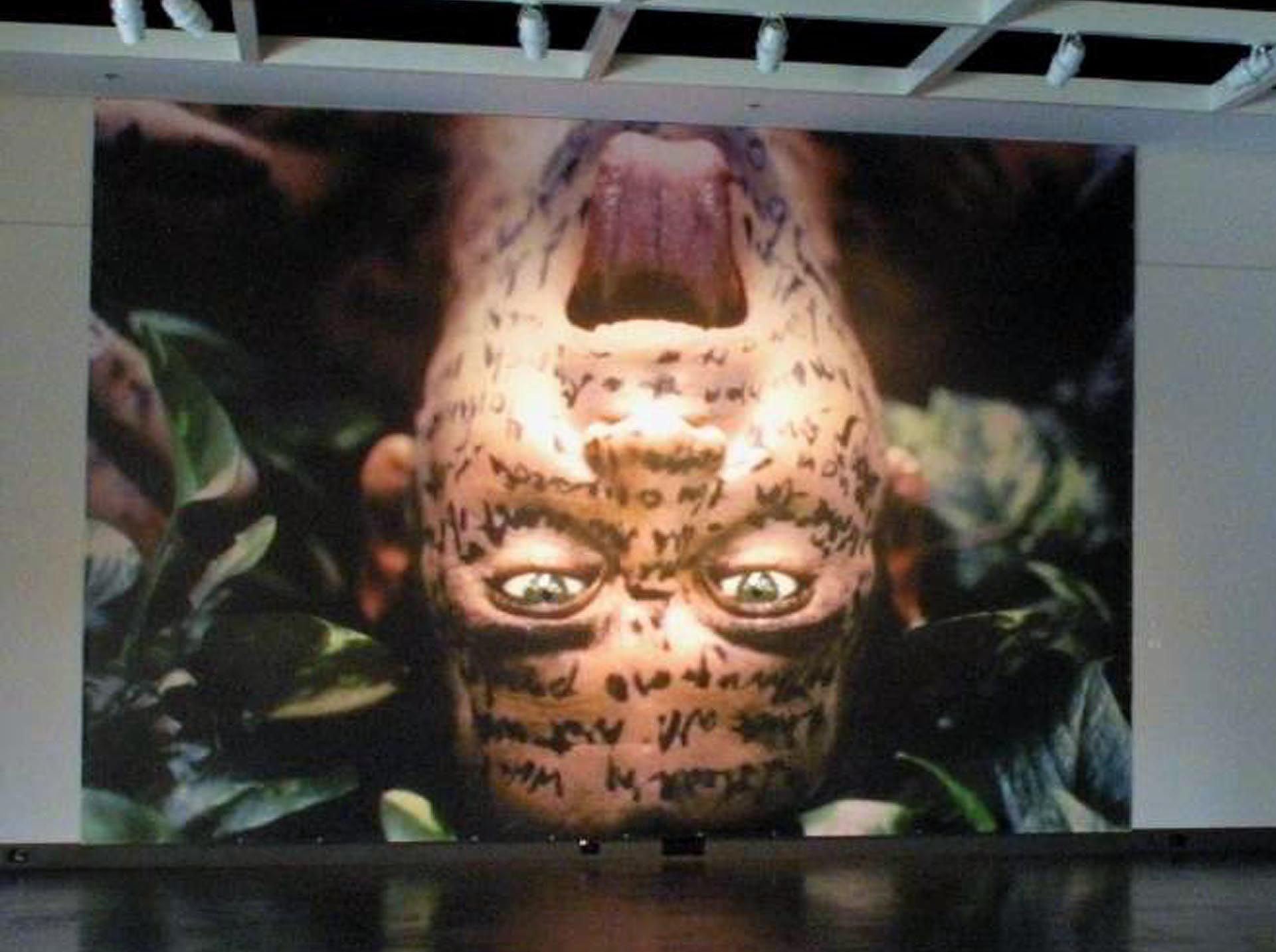 Carlos Betancourt: Interventions in Nature