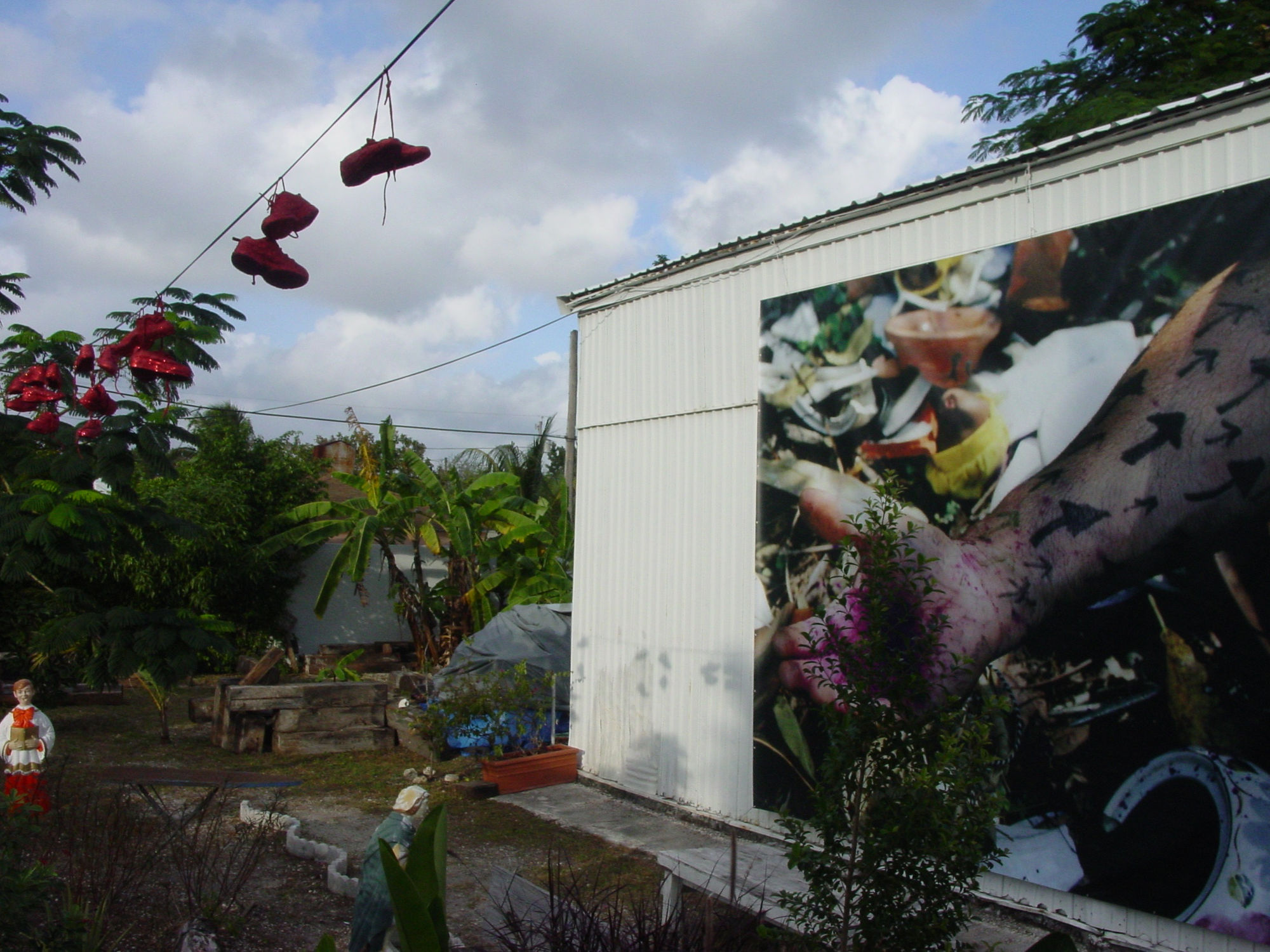 Interventions in Wynwood