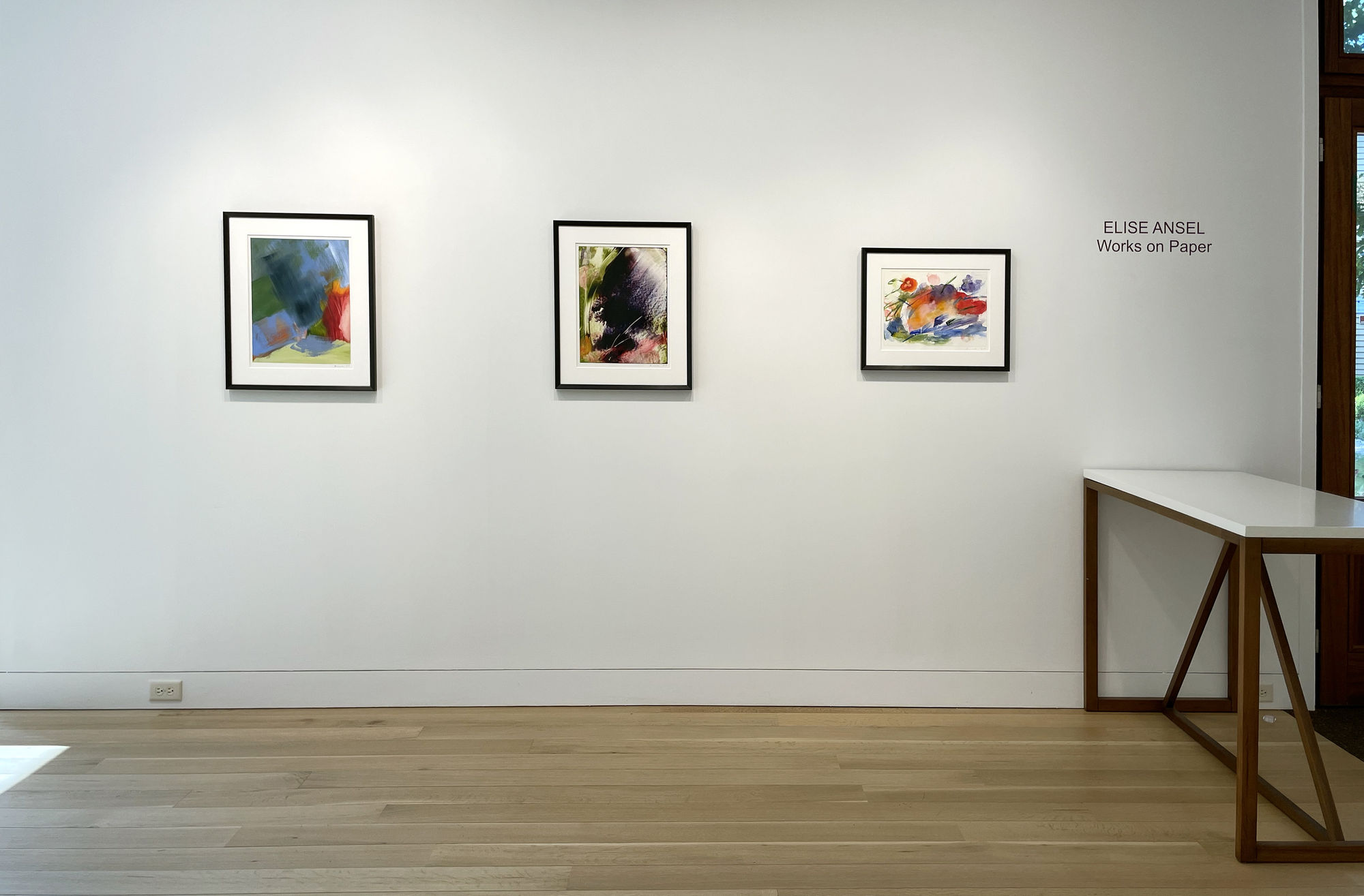 Elise Ansel: Works on paper