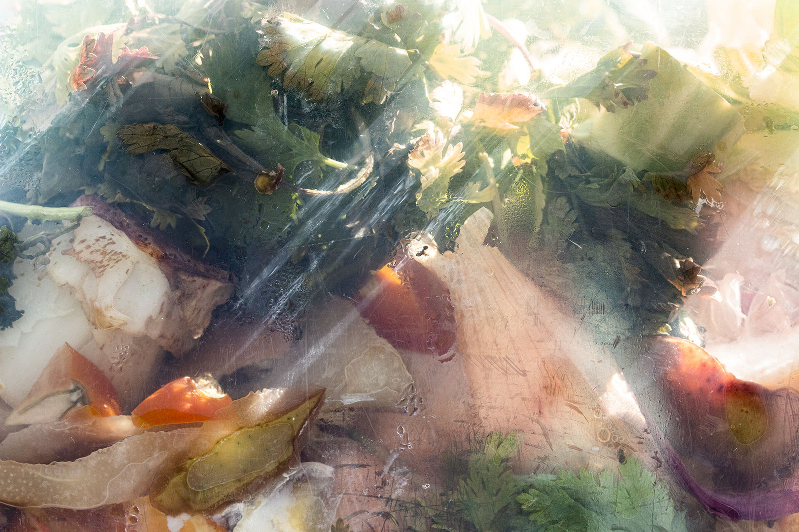 Nancy Macko Divine Intervention, 2022 Archival pigment print 42 x 64.6 or 32 x 21 inches