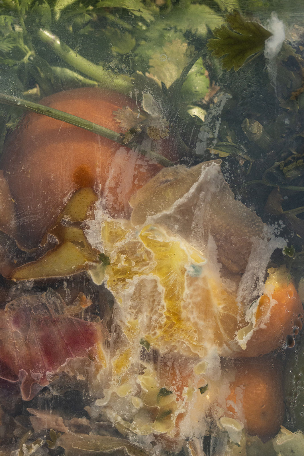 Nancy Macko Extrusion, 2022 Archival pigment print 40 x 26 or 22.5 x 15 inches