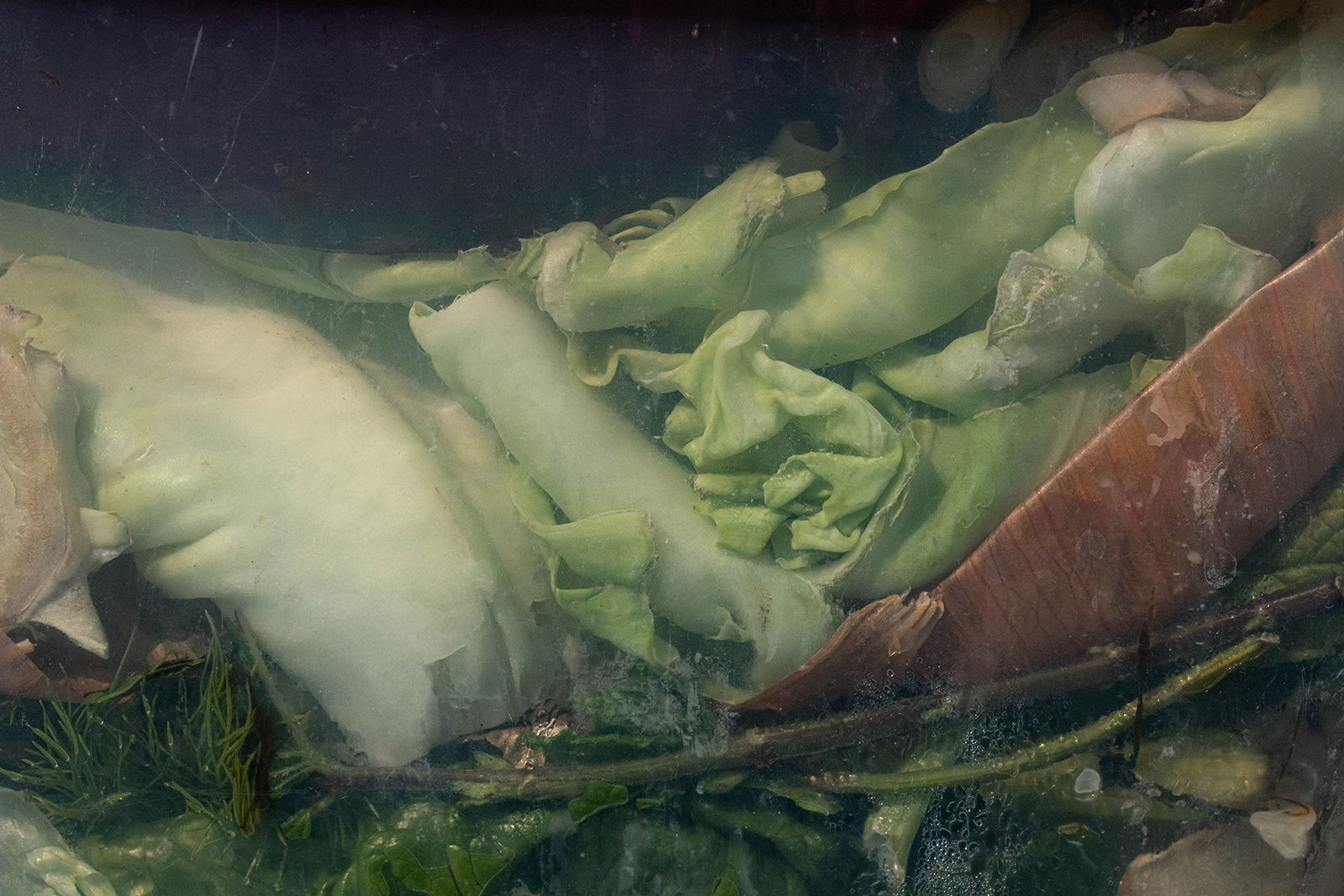 Nancy Macko Odalisque, 2020 Archival pigment print 42 x 64.5 or 15 x 22.5 inches