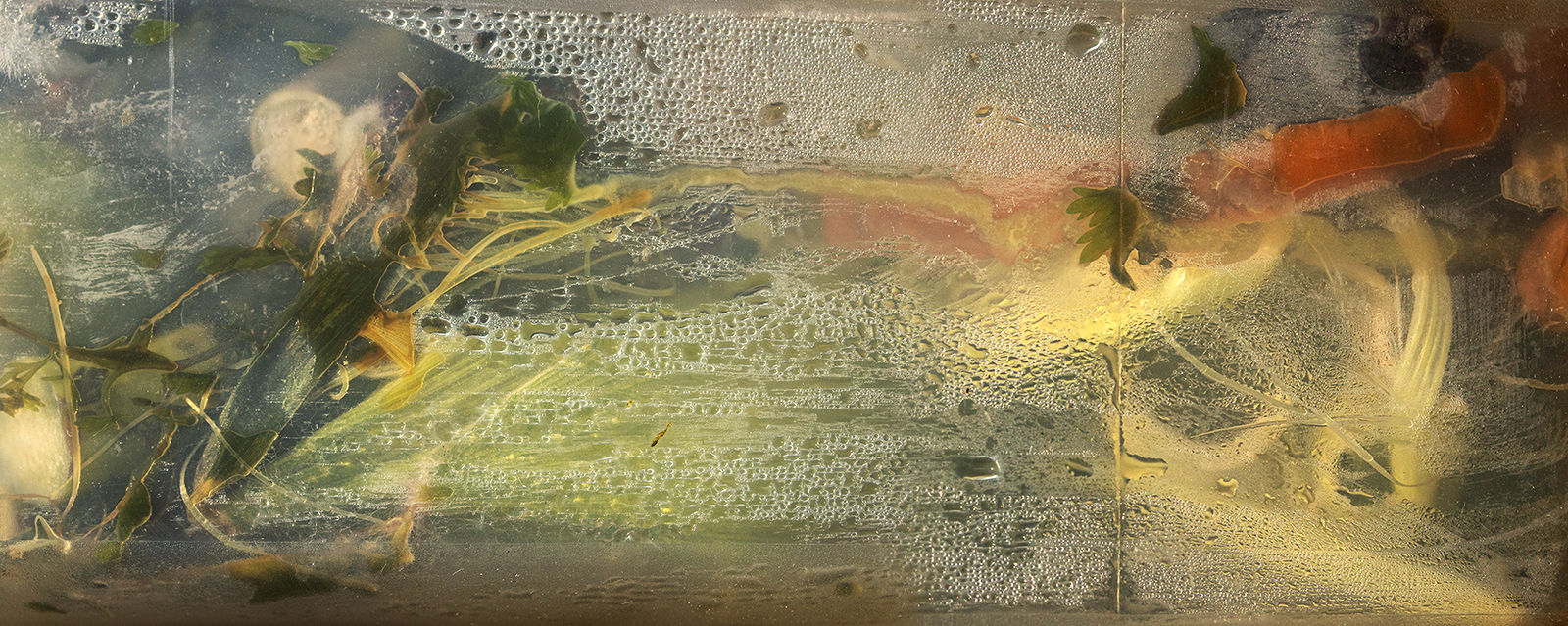 Nancy Macko Waterfall, 2020 Archival pigment print 42 x 90 or 22.5 x 45 inches