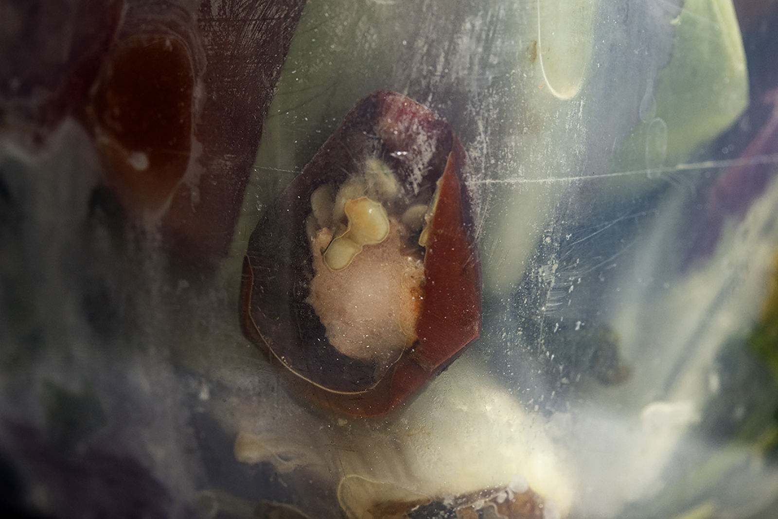 Nancy Macko Wound, 2020 Archival pigment print 26 x 40 or 15 x 22.5 inches