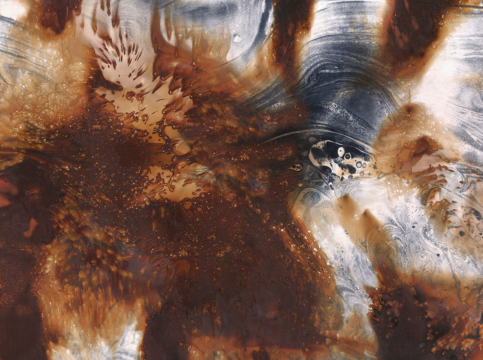 Nolan Preece, Bullfight, 1983, Silver Gelatin 8x10 inches