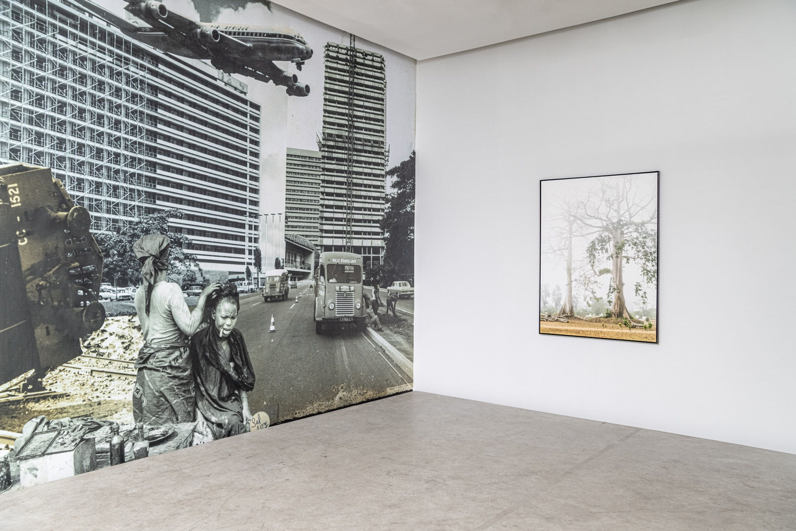 La Nage de l'Éléphant