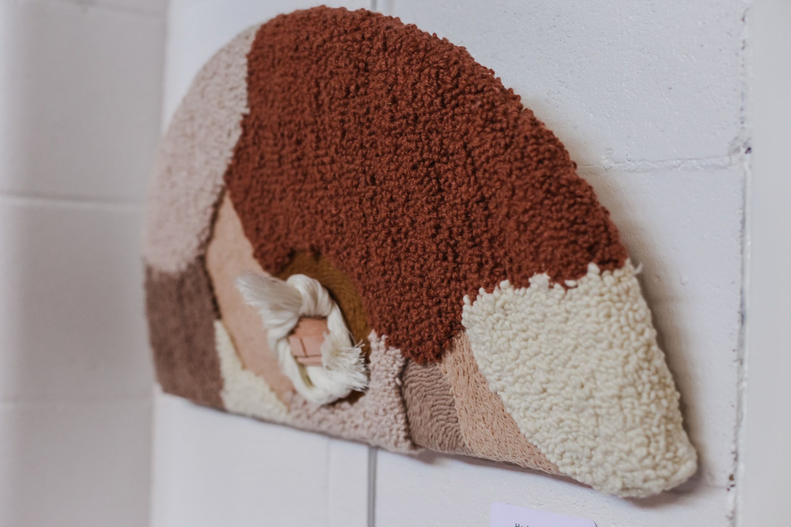 Color Focus at Sertoma Arts Center