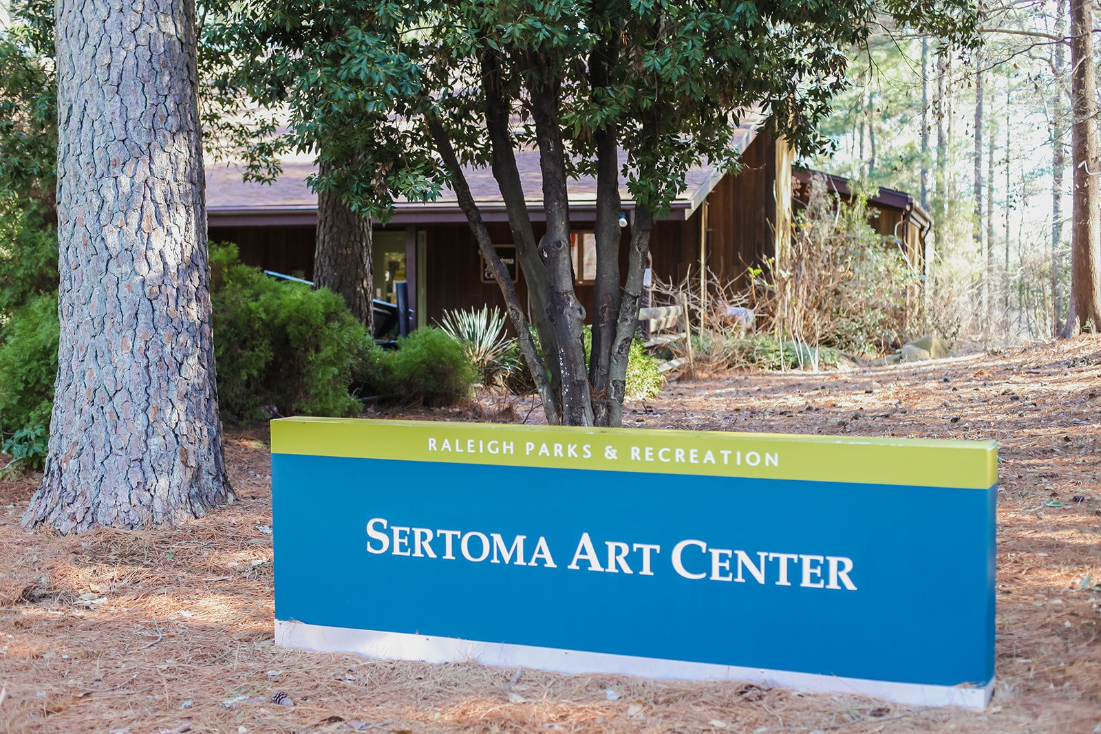 Color Focus at Sertoma Arts Center