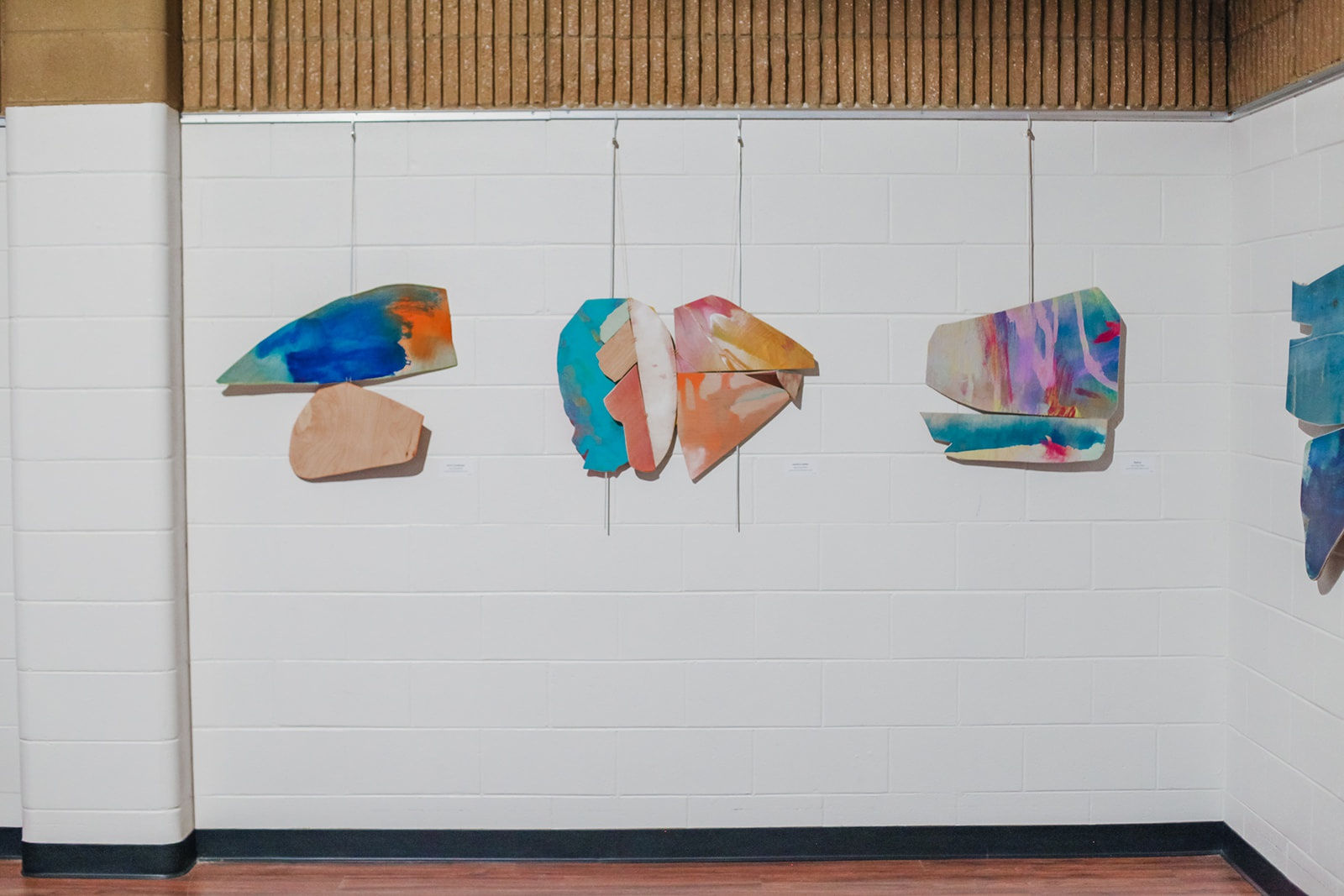 Color Focus at Sertoma Arts Center