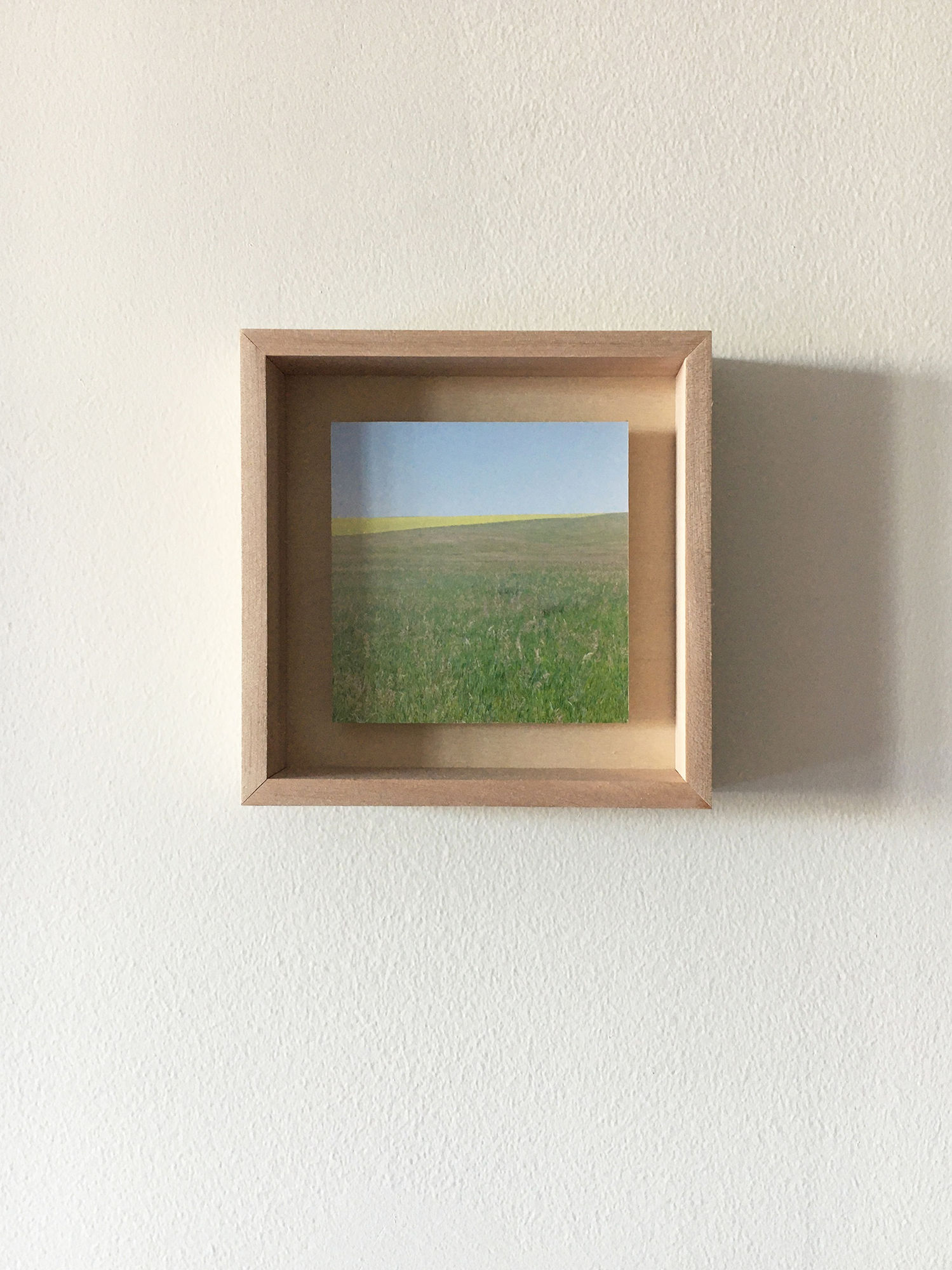 Grace Clark Sweet Fields V, 2020 digital pigment print 6 x 6 inches, edition 1/3 SOLD *edition 2/3 and 3/3 available