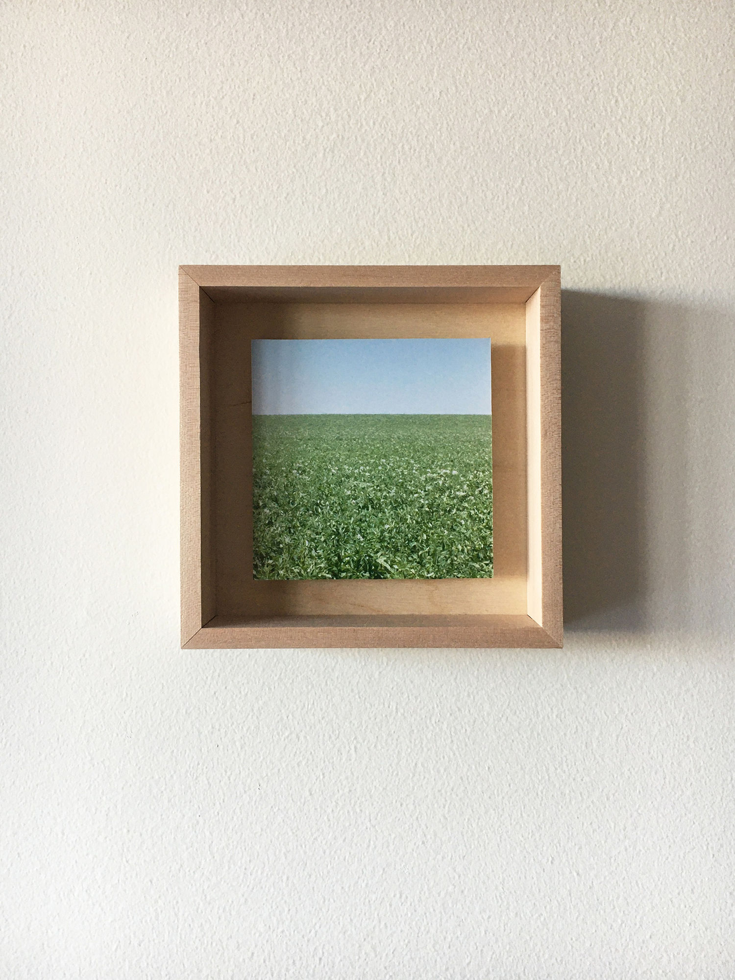 Grace Clark Sweet Fields II, 2020 digital pigment print 6 x 6 inches, edition 1/3 $ 500.00