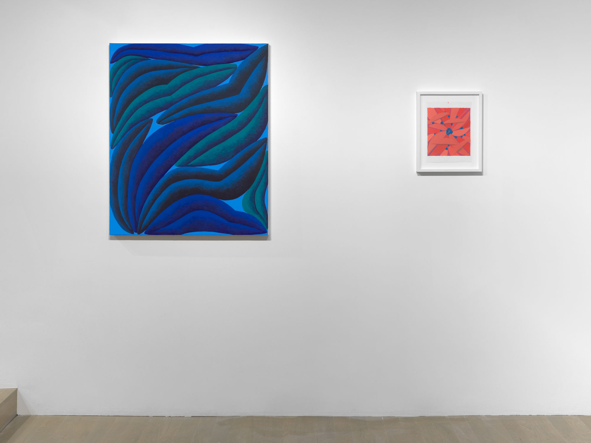 PROJECTION 003: CORYDON COWANSAGE