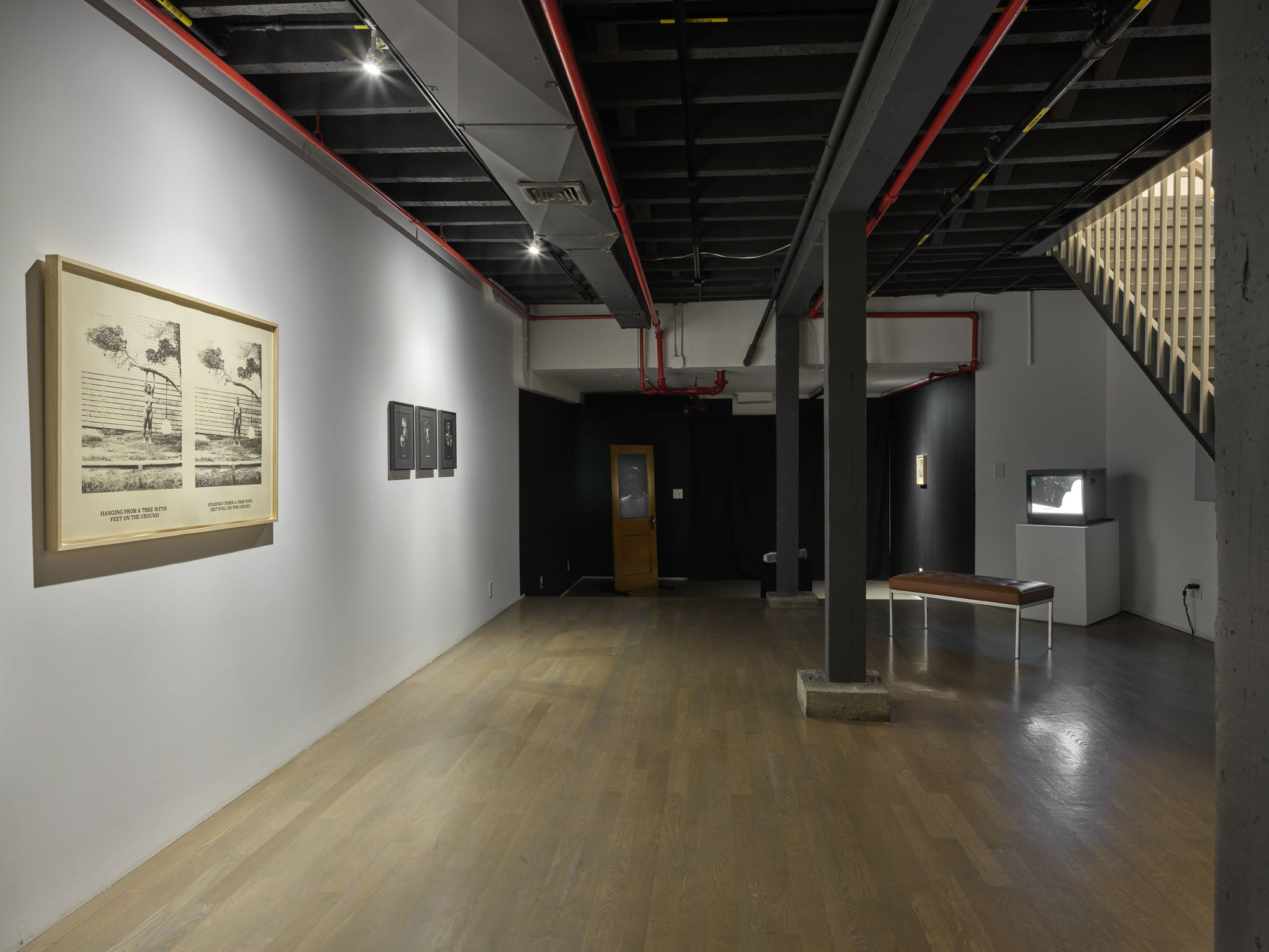 PROJECTION 004: SHALA MILLER "The ii-V-I"