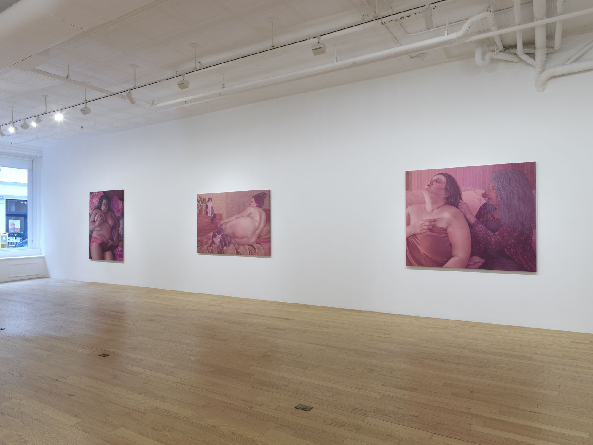 Shona McAndrew: Rose-Tinted Glasses