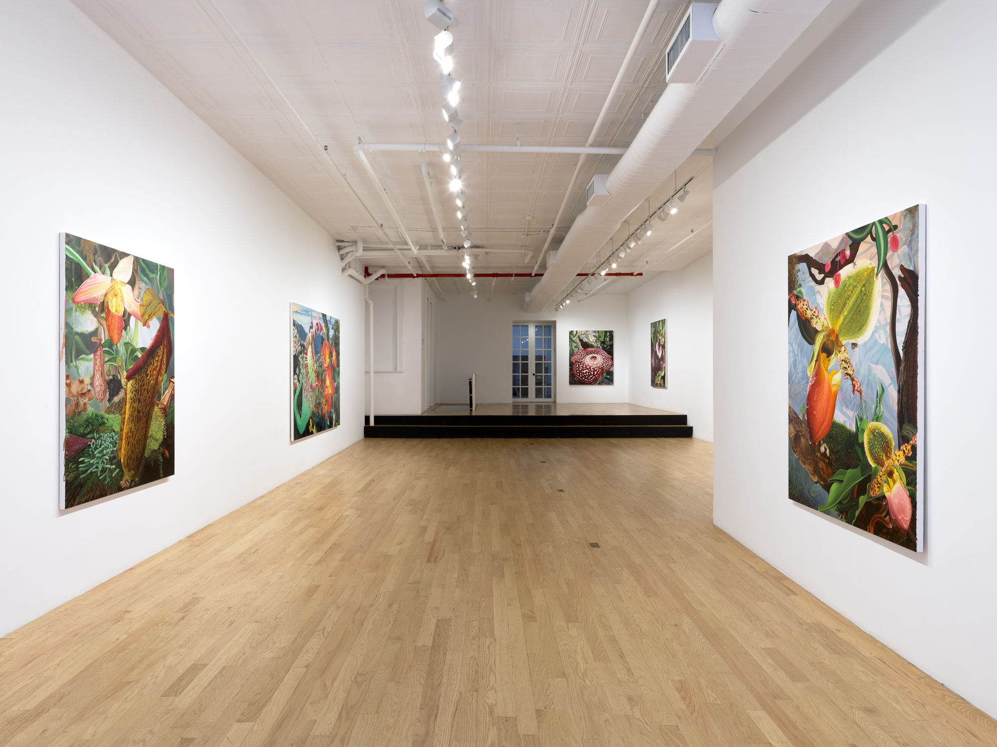 Kate Bickmore: On the Precipice