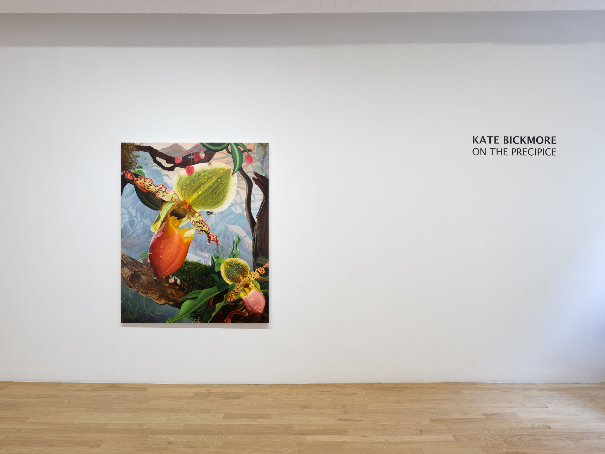 Kate Bickmore: On the Precipice