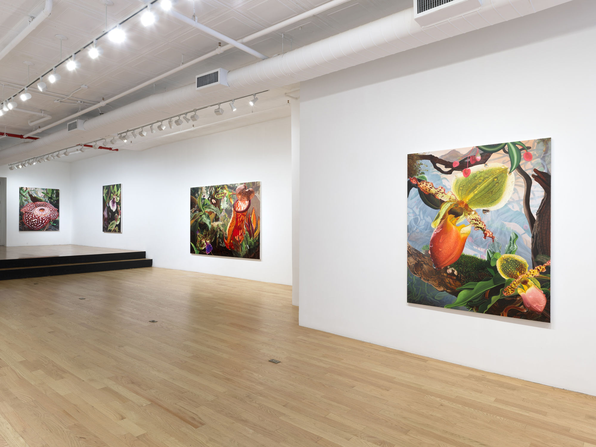 Kate Bickmore: On the Precipice