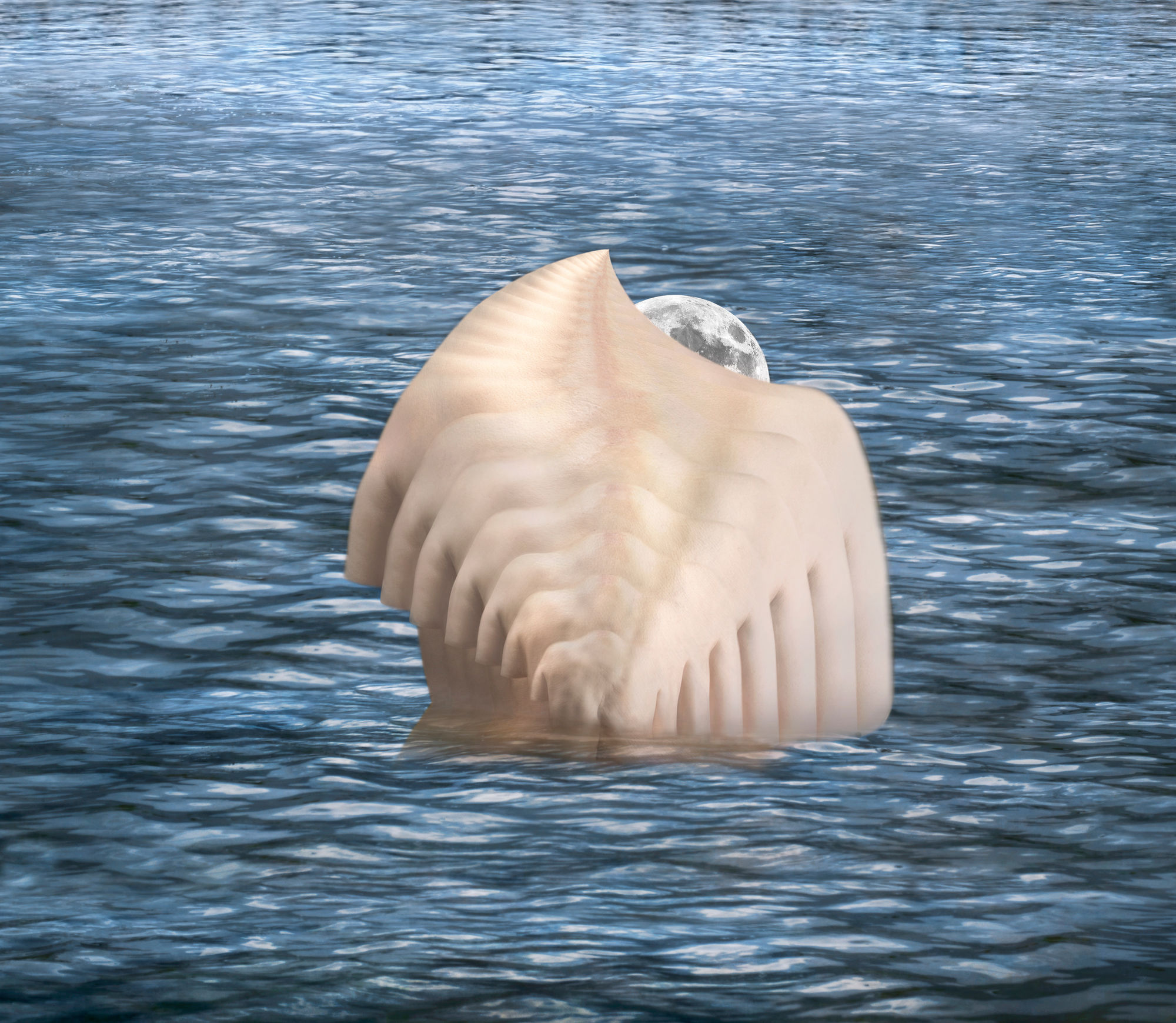 Untitled, II, 2021 from the series, Penumbra Pigment print 30 × 24 in (76.2 × 61 cm)