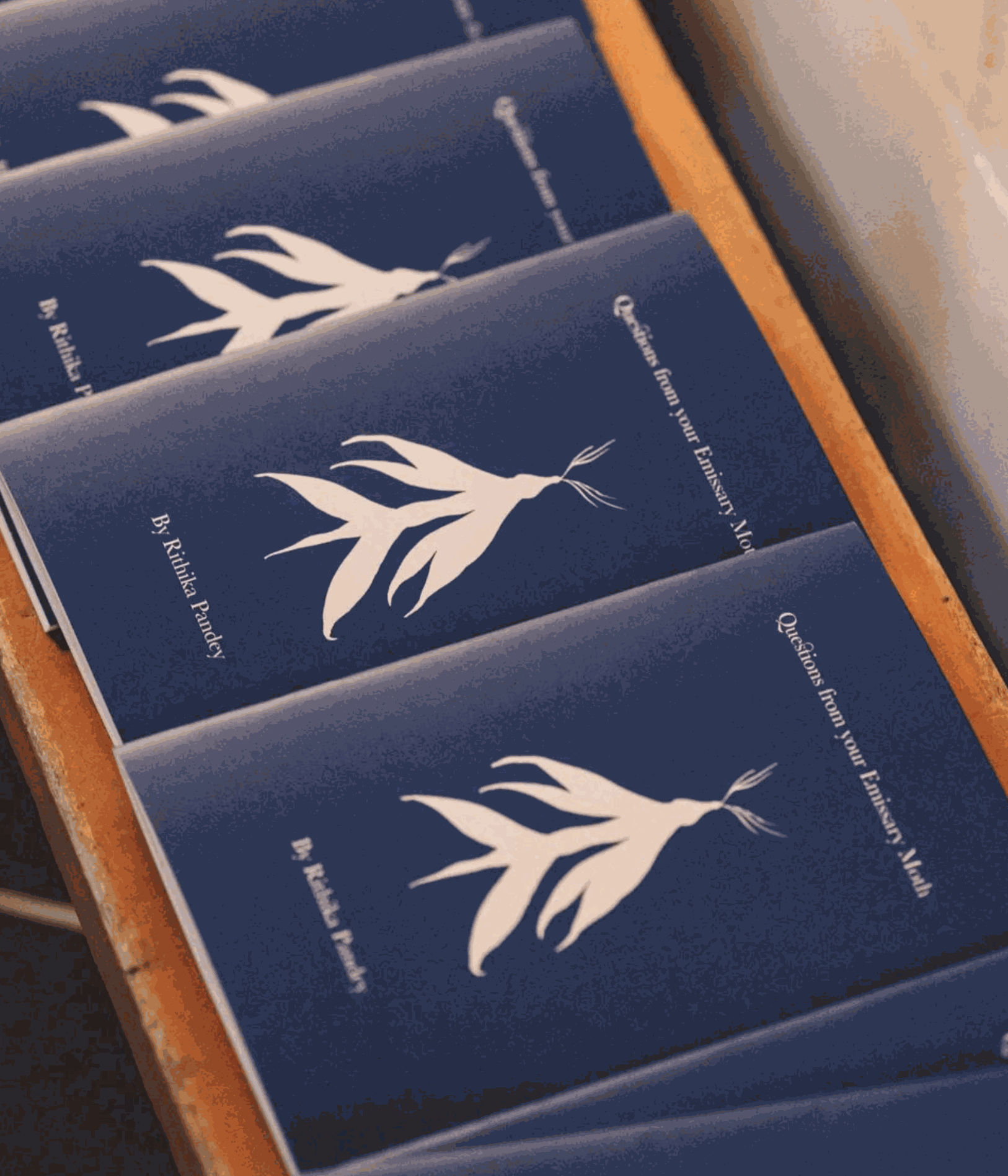 Questions from your Emissary moth by Ritikha Pandey Cardiff, United Kingdom 24th June