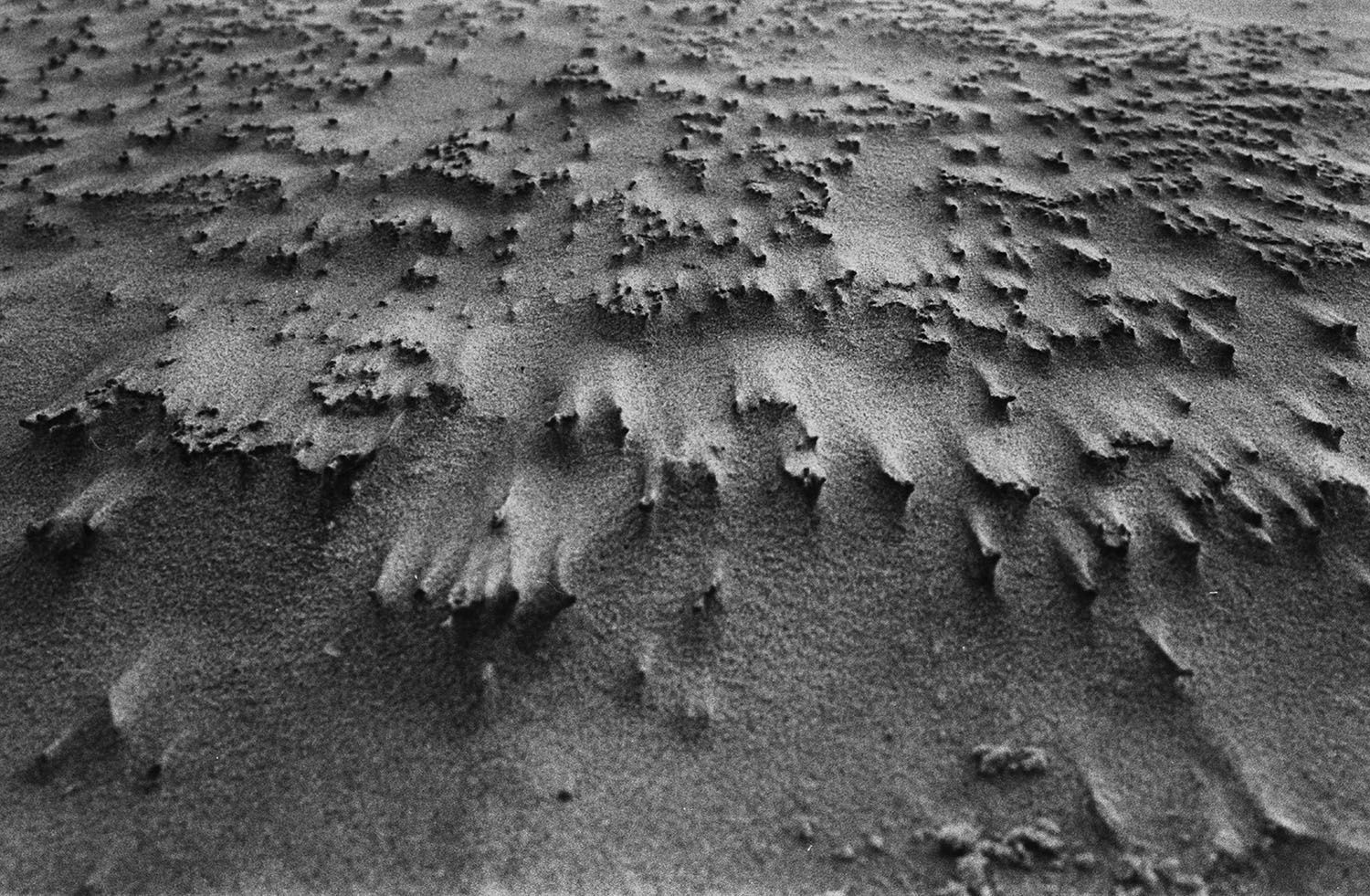 Saba Gorgodze Untitled, 2018 608 series (2018-2023) Edition 1/15 Limited Edition of 15 + 1 AP Silver Gelatine Print Size: 12 x 18 cm (paper size: 20 x 25 cm) Paper Type: ILFORD MG Fiber Classic Gloss