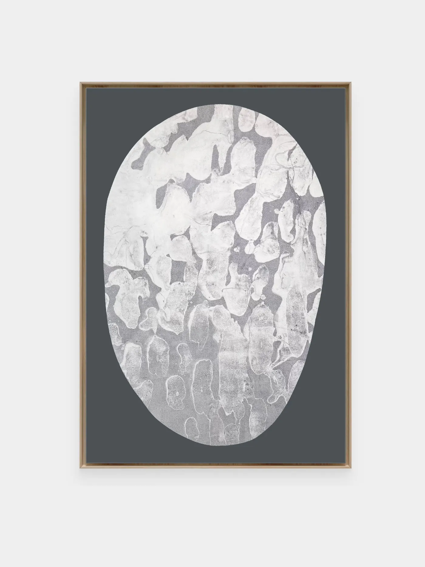 Charlotte Turner, Where Light Rests, 2025