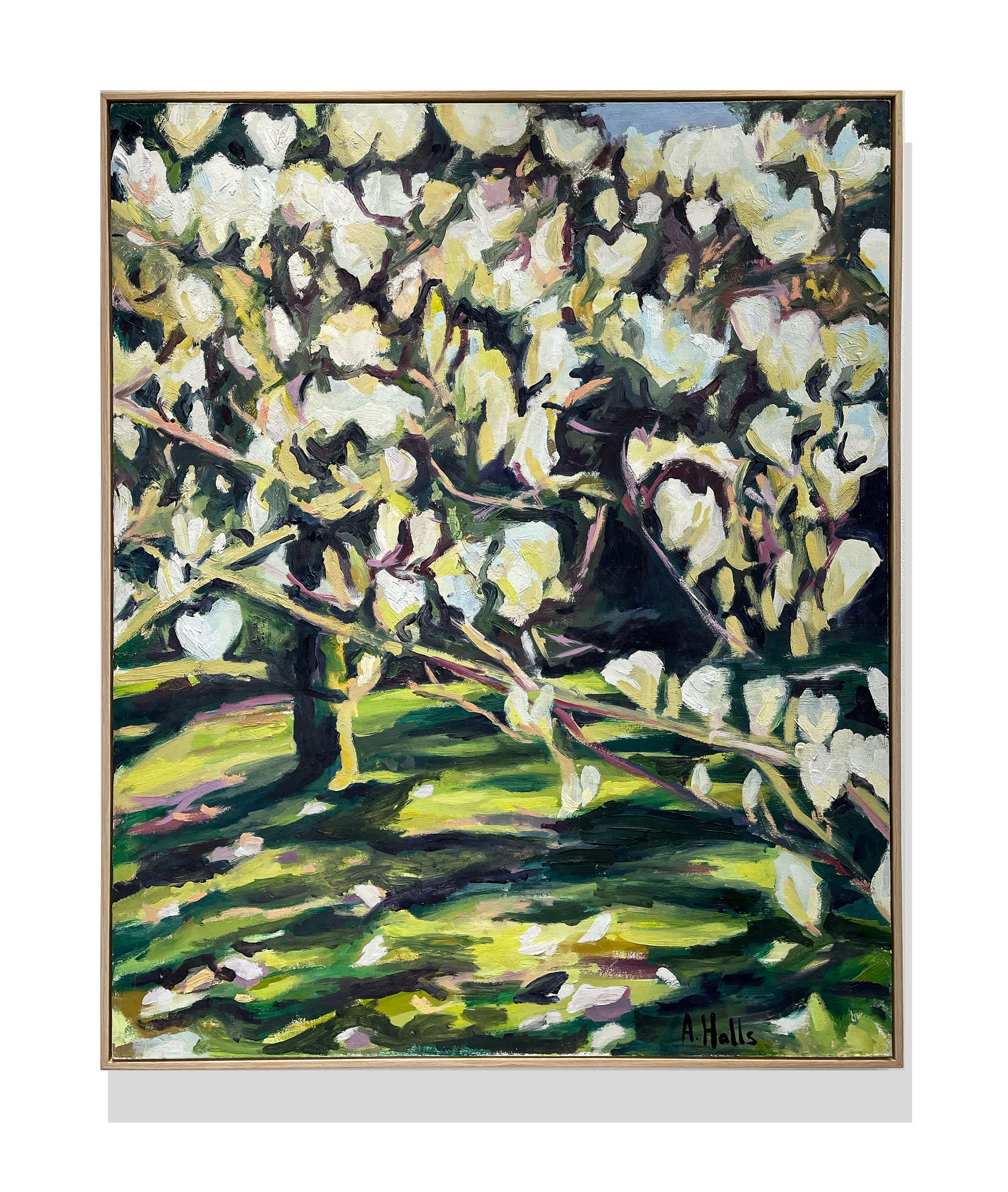 Adam Halls, Magnolia Blooms, 2022
