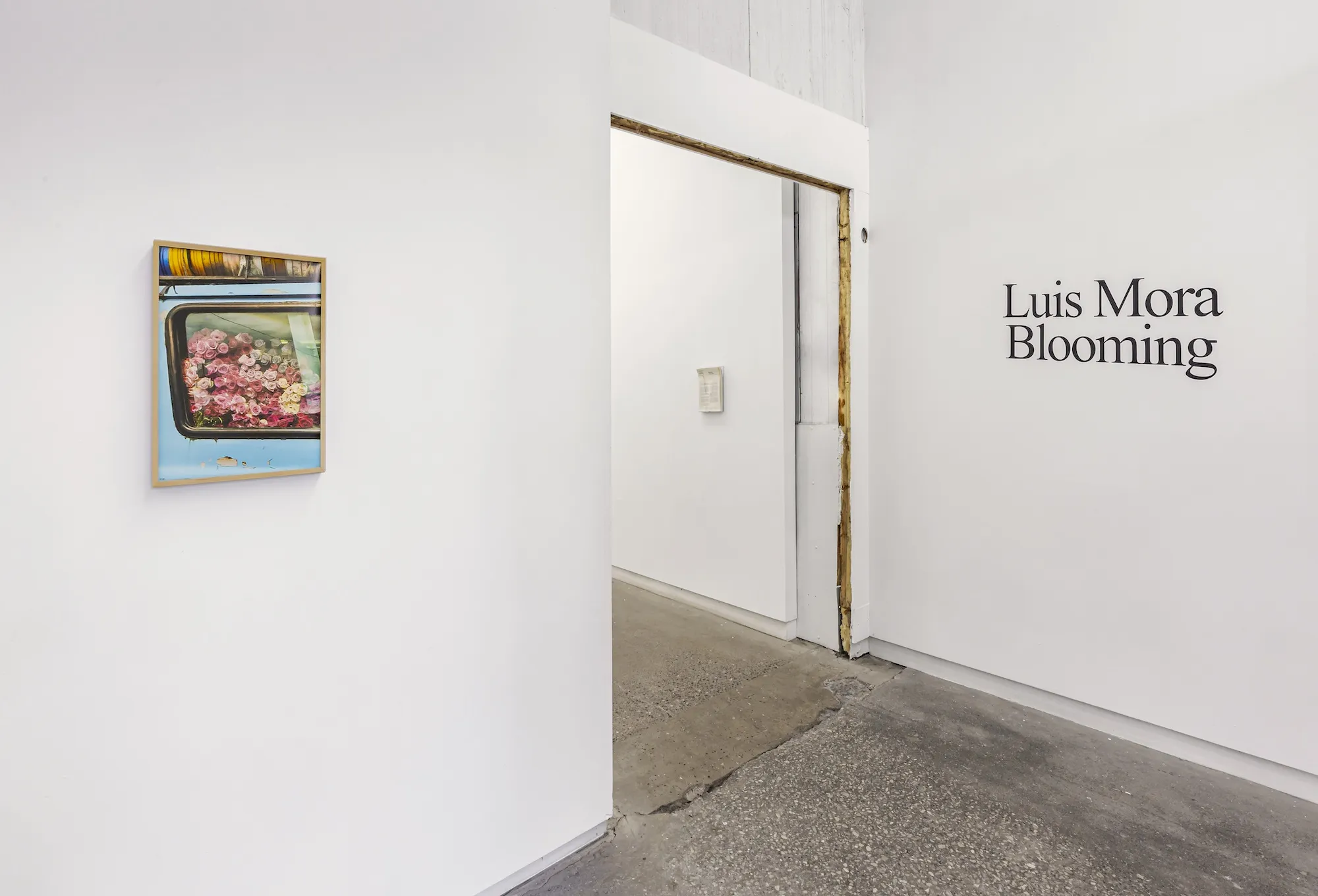 Luis Mora and Sebastian Rodriguez-Besa