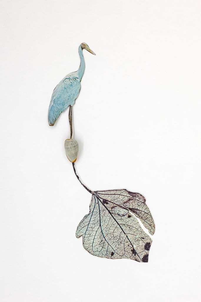 In The Shadow Of Sirius