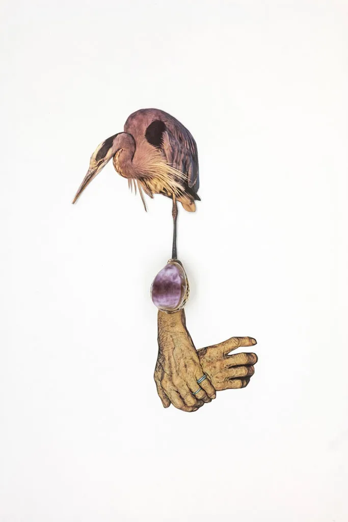 In The Shadow Of Sirius