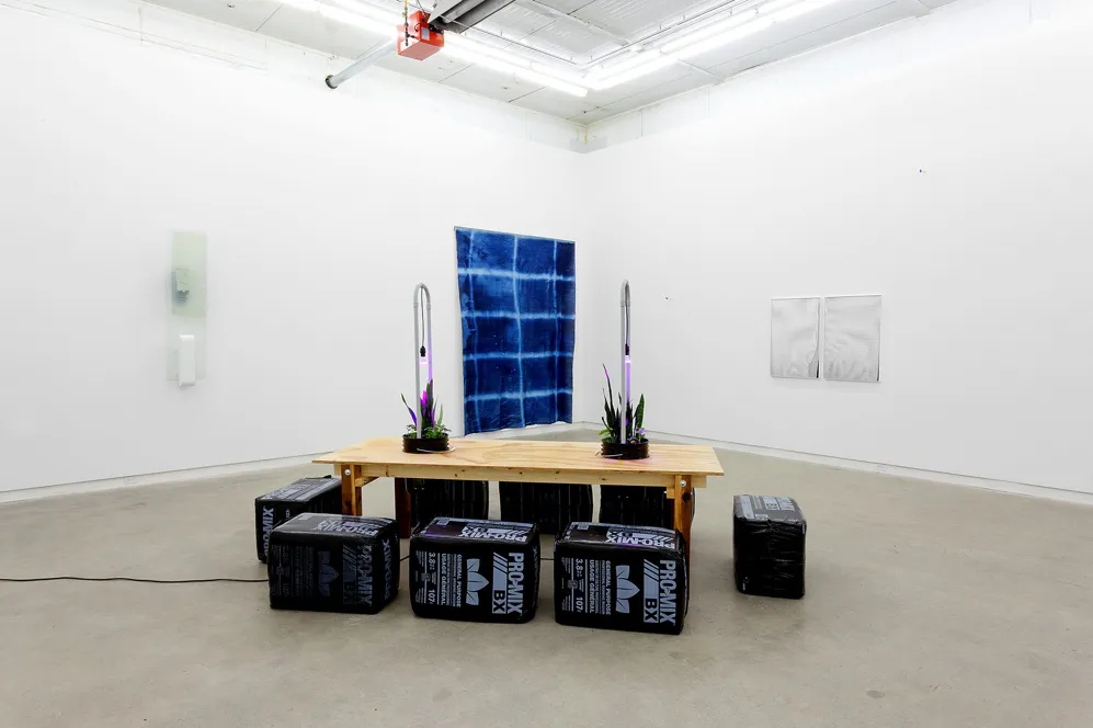 The Agency Of Acquaintances