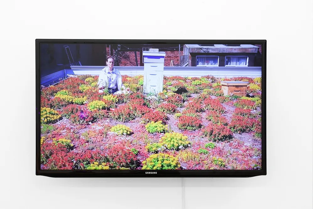 The Agency Of Acquaintances