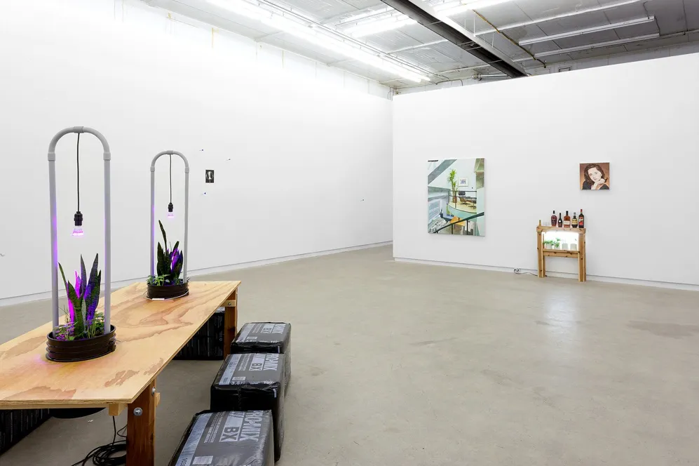 The Agency Of Acquaintances