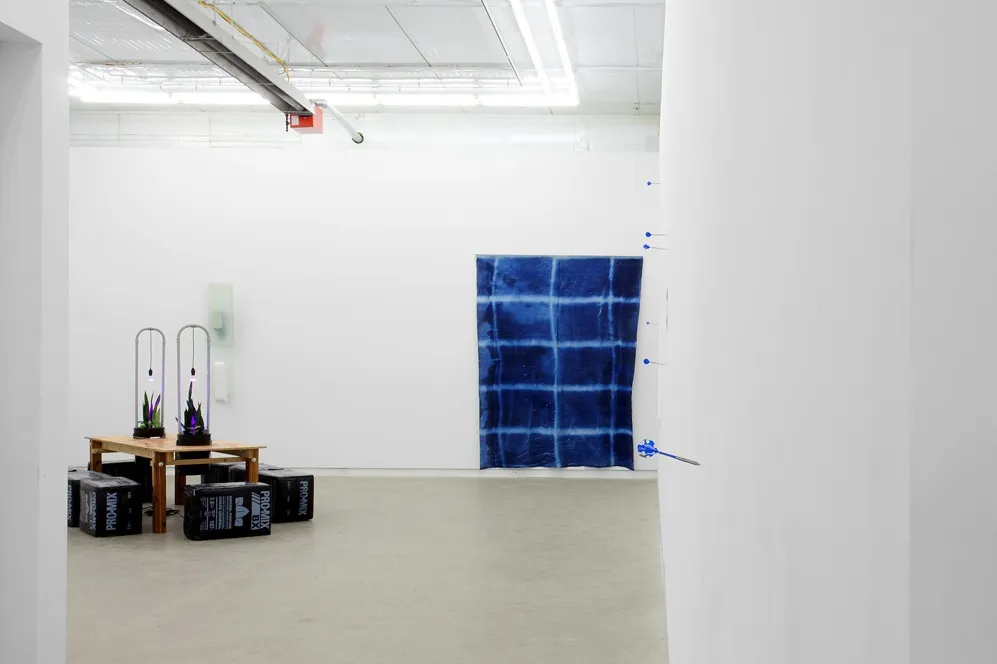 The Agency Of Acquaintances