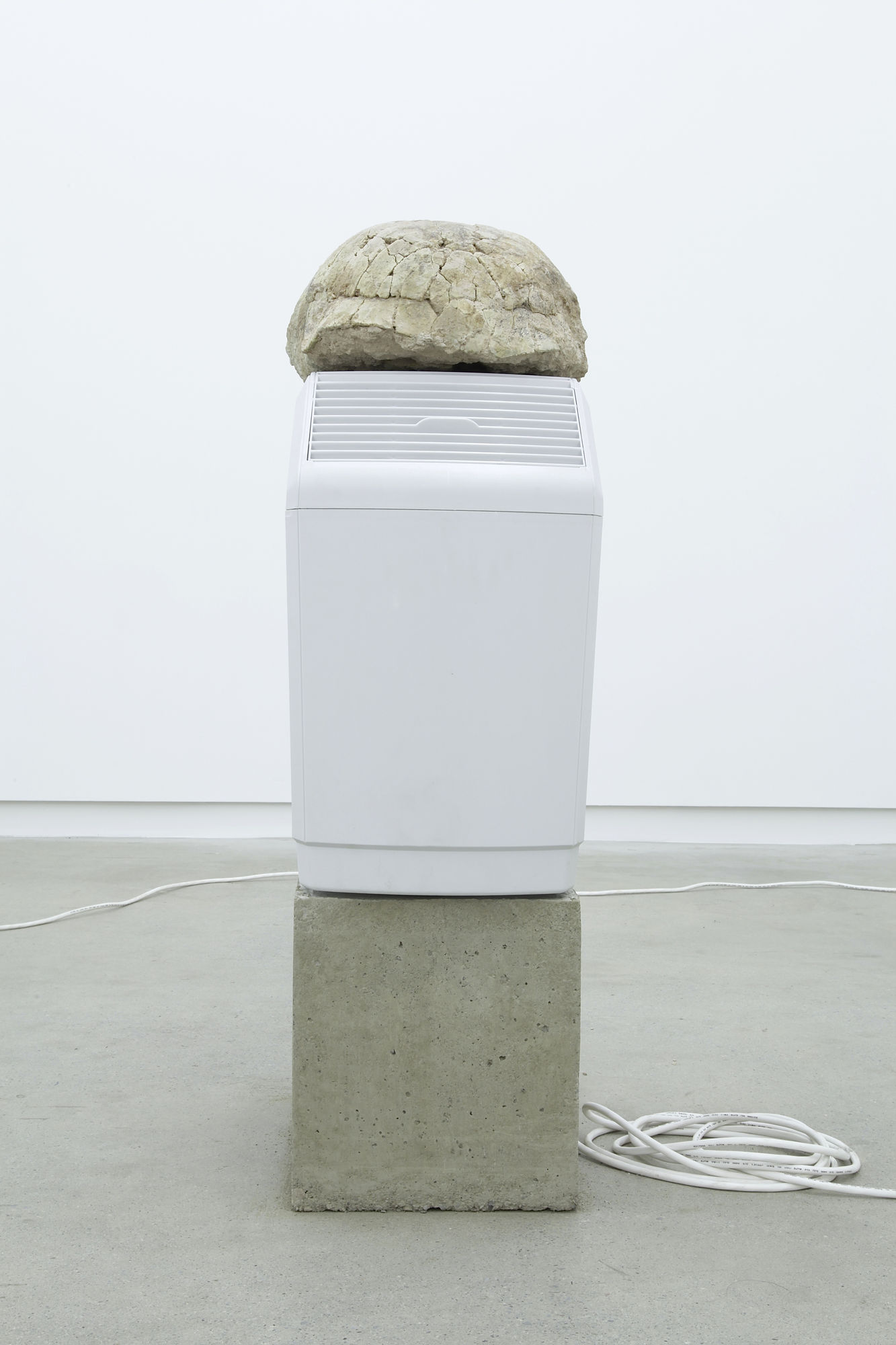 Free And Easy Wanderer