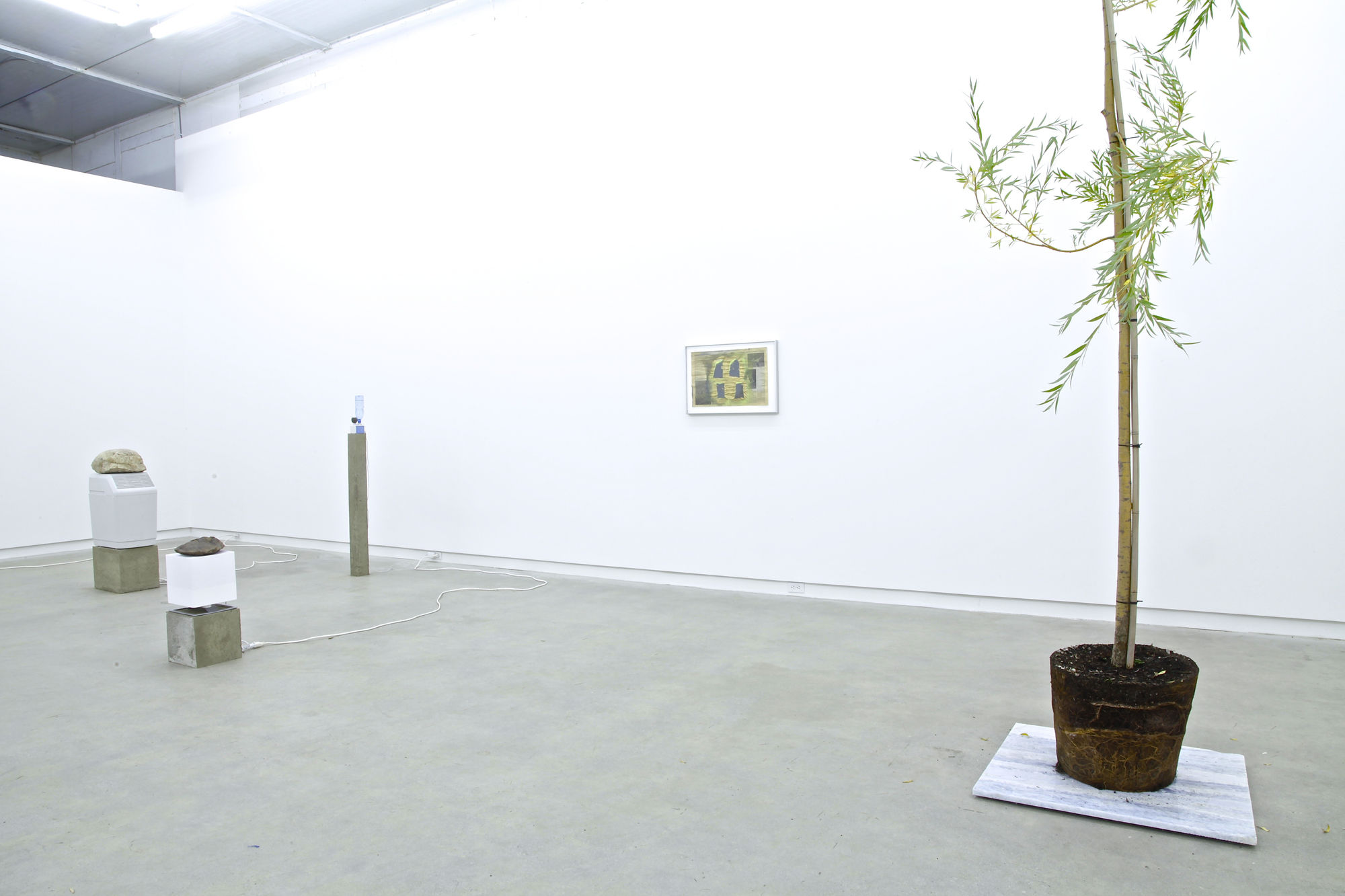 Free And Easy Wanderer